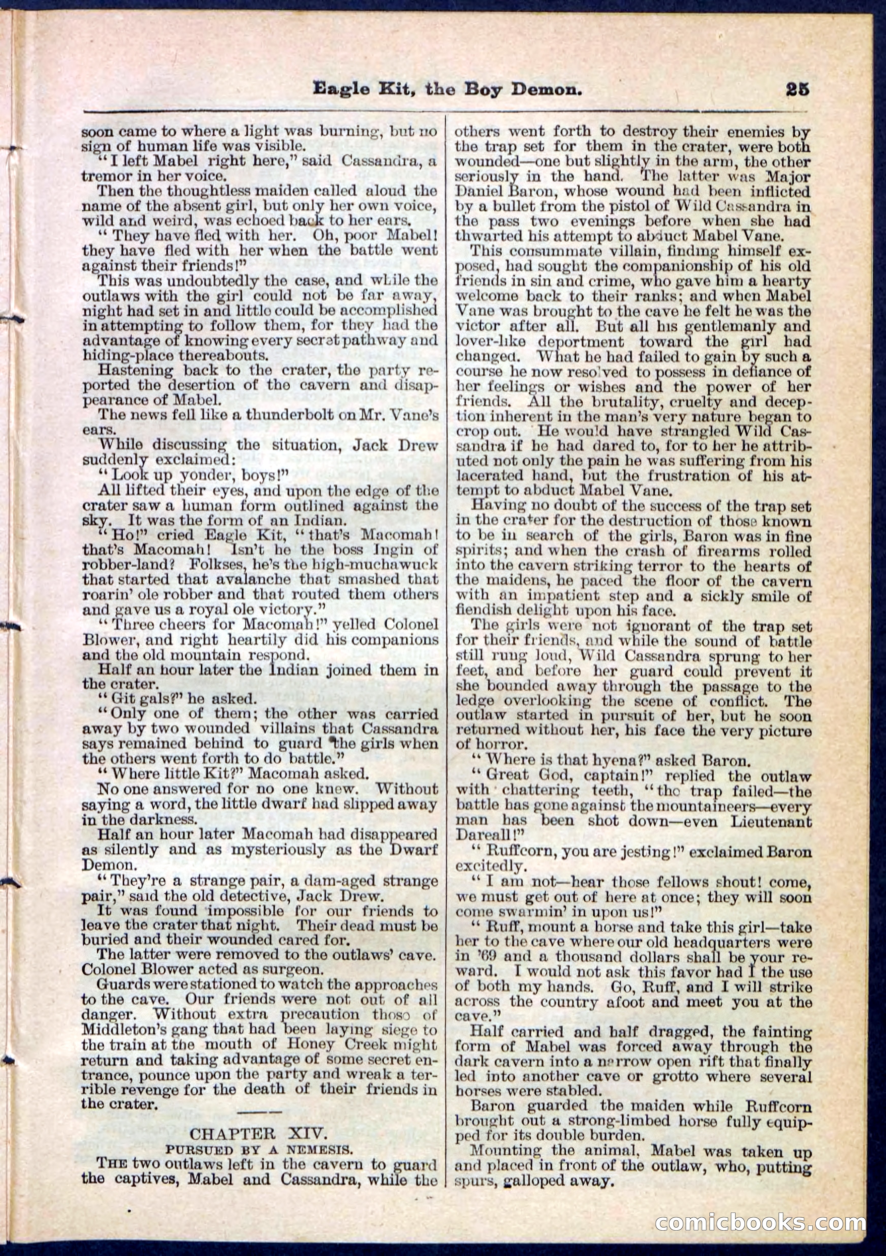 Beadle's Pocket Library No. 129 — page 25 of 32