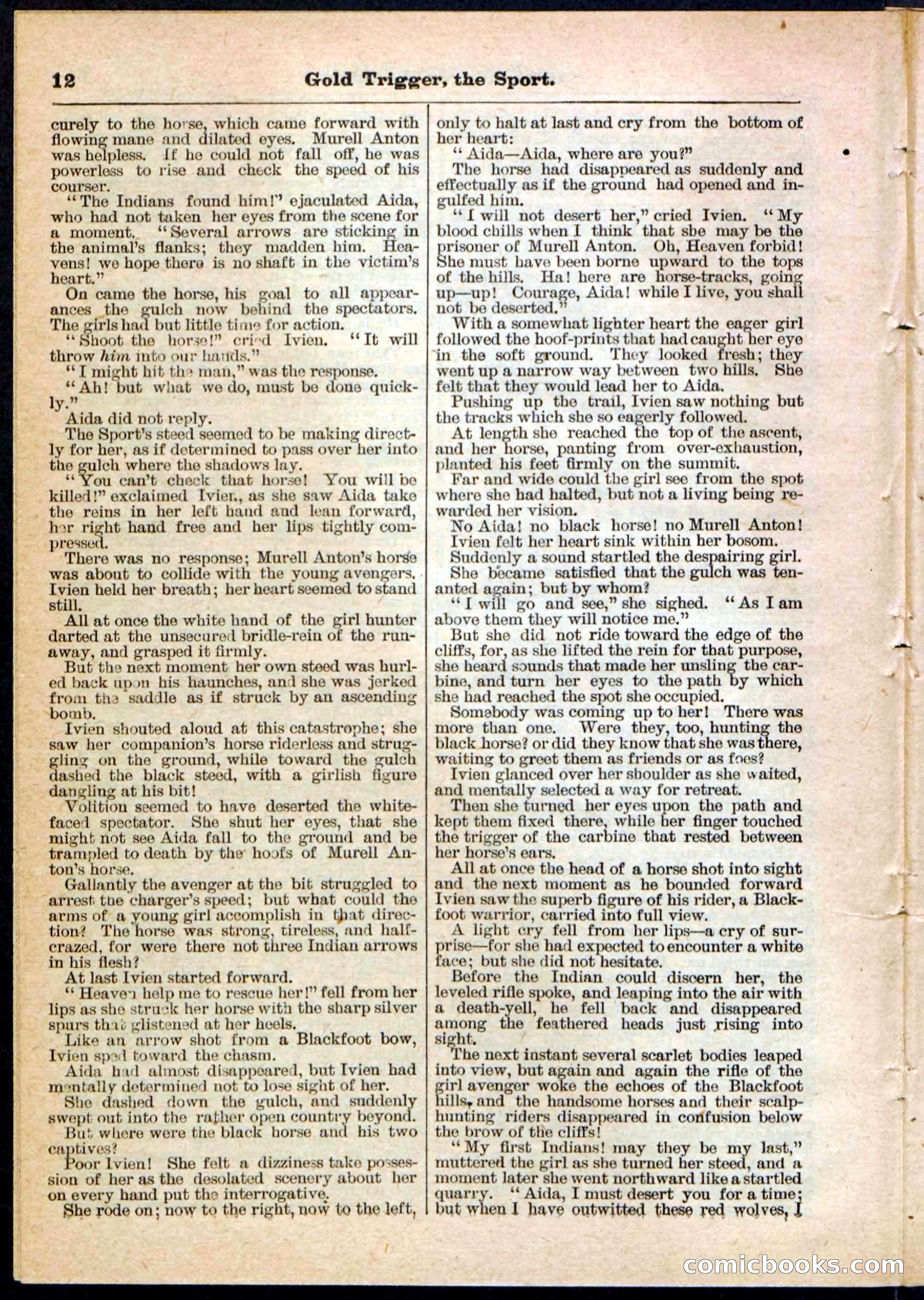 Beadle's Pocket Library No. 130 — page 12 of 32