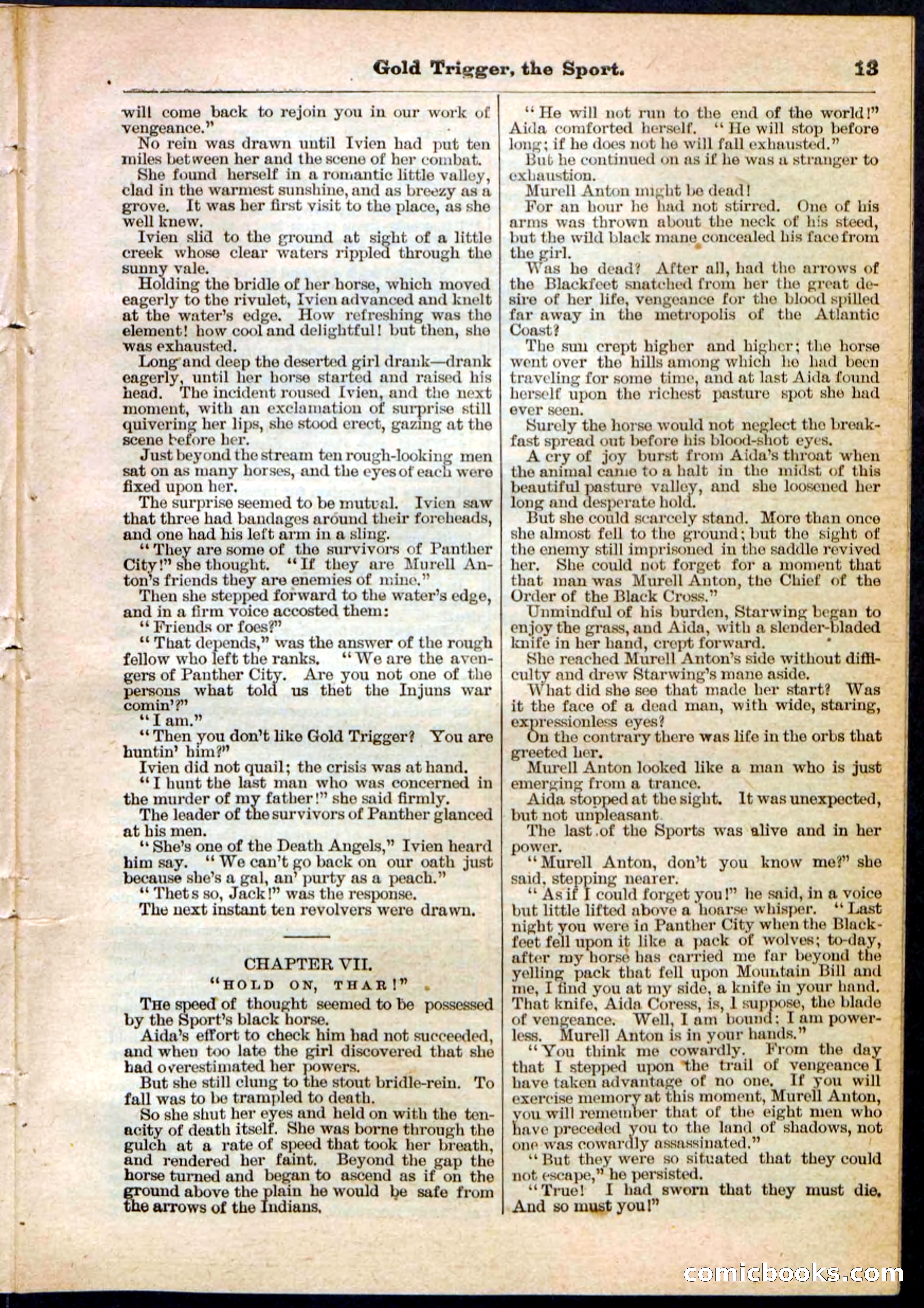 Beadle's Pocket Library No. 130 — page 13 of 32