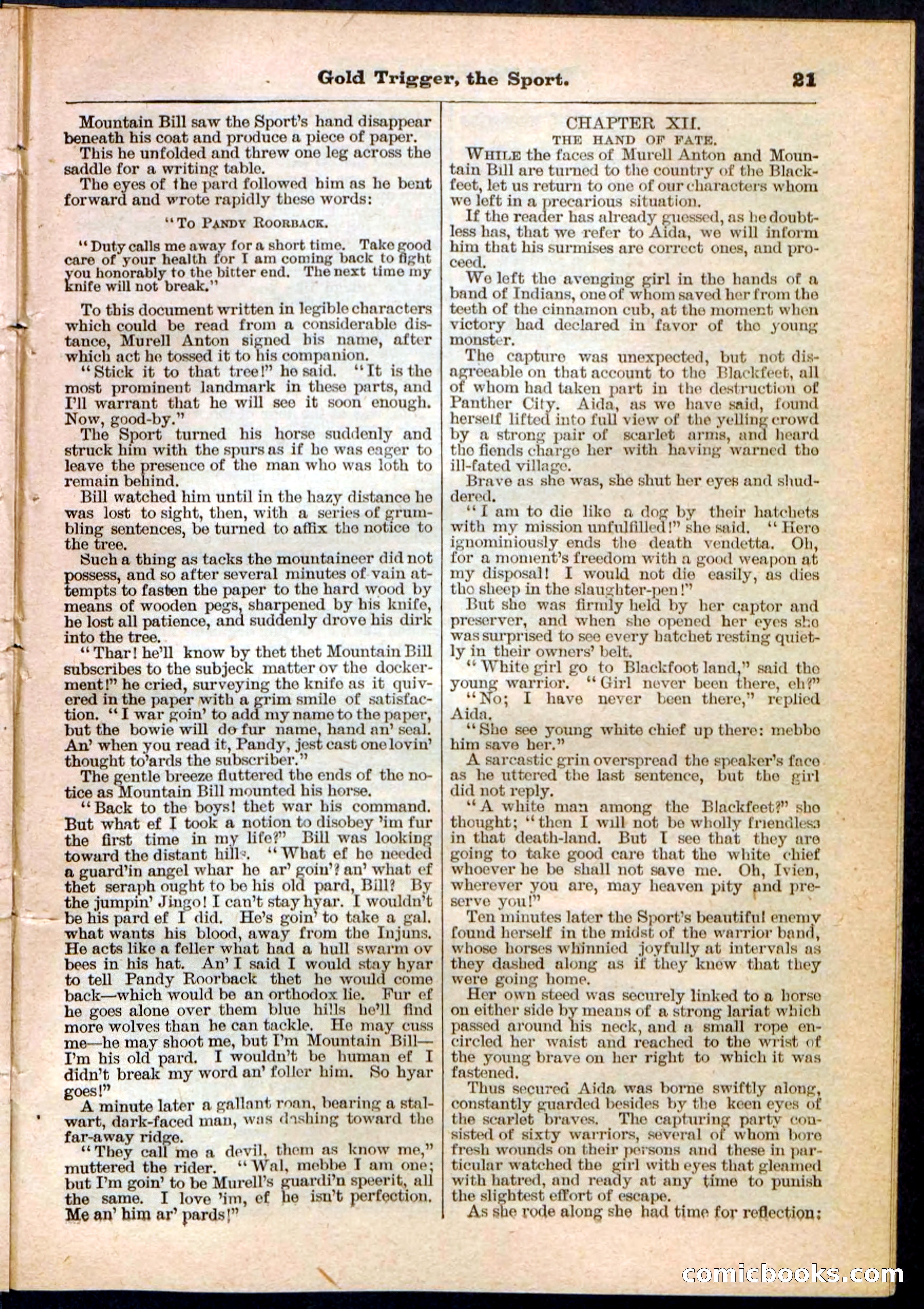 Beadle's Pocket Library No. 130 — page 21 of 32