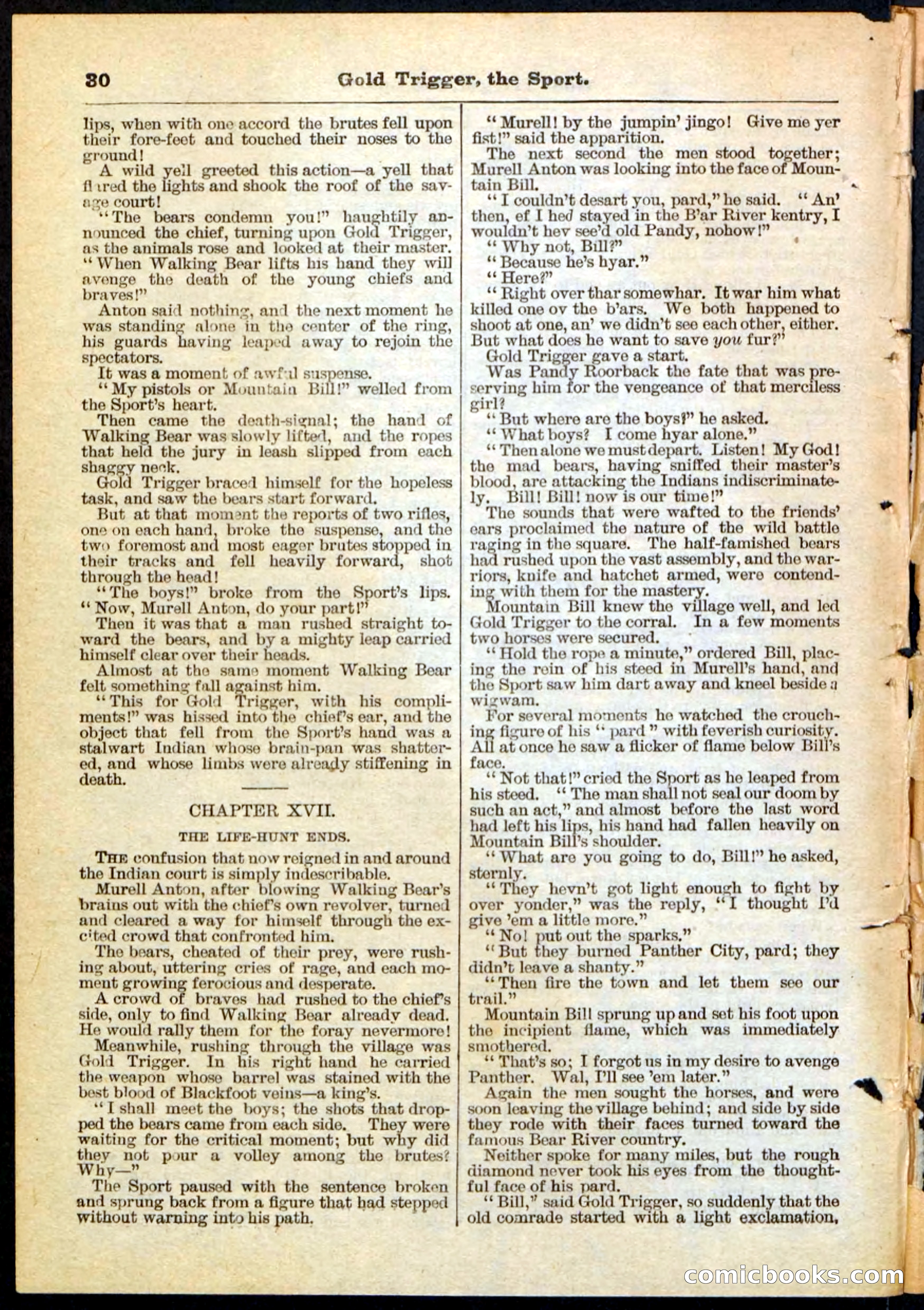 Beadle's Pocket Library No. 130 — page 30 of 32