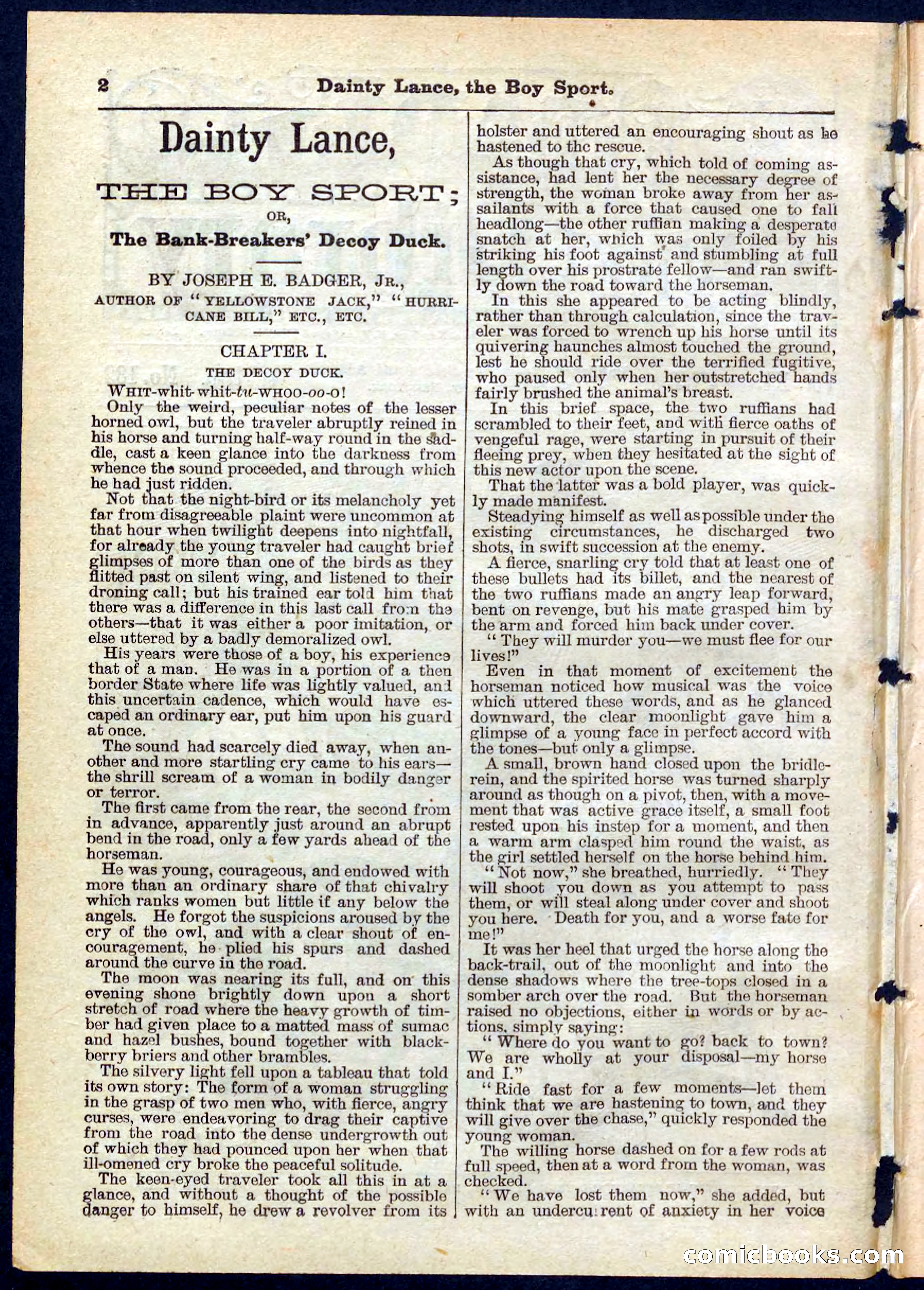 Beadle's Pocket Library No. 132 — page 2 of 32