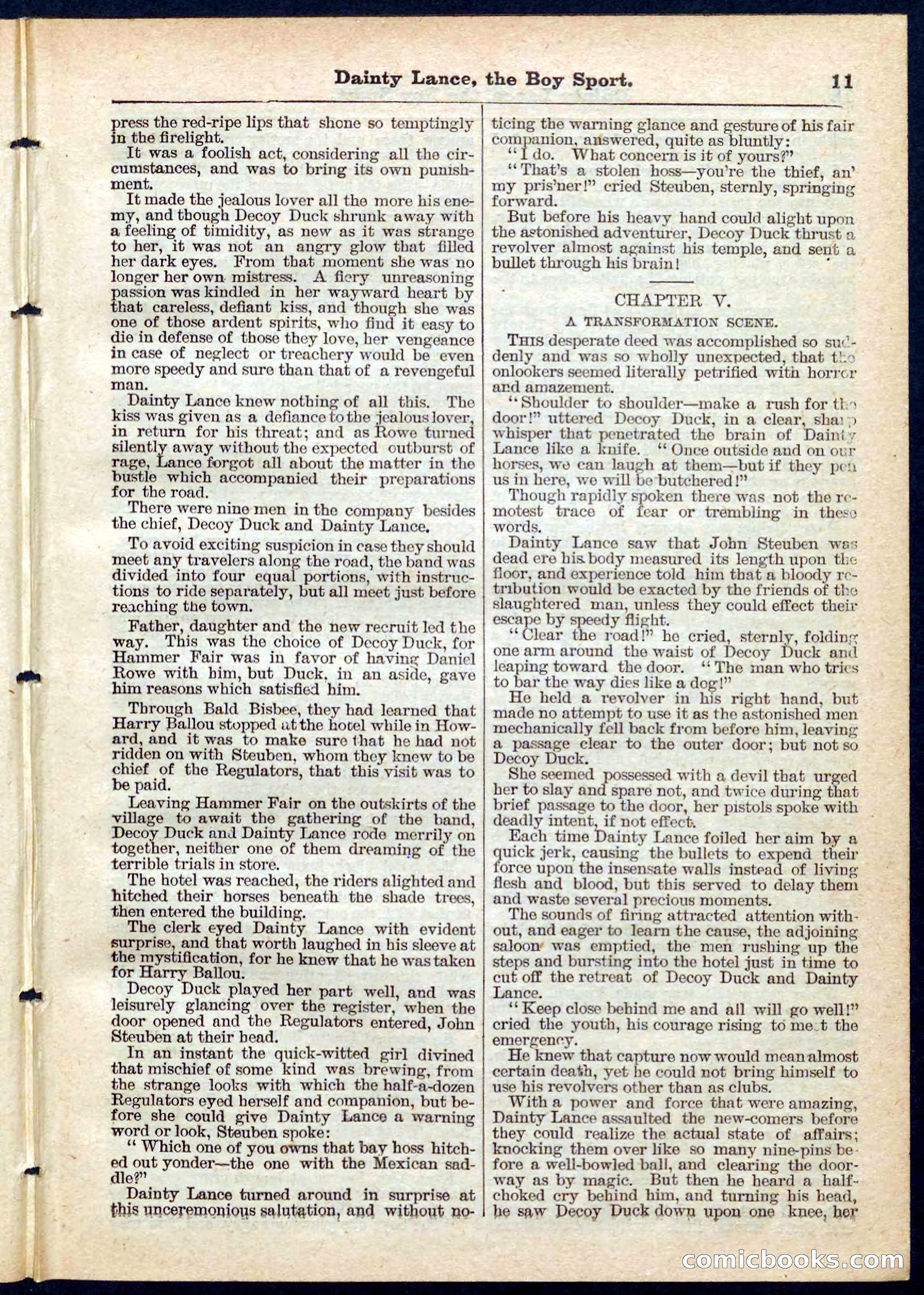 Beadle's Pocket Library No. 132 — page 11 of 32