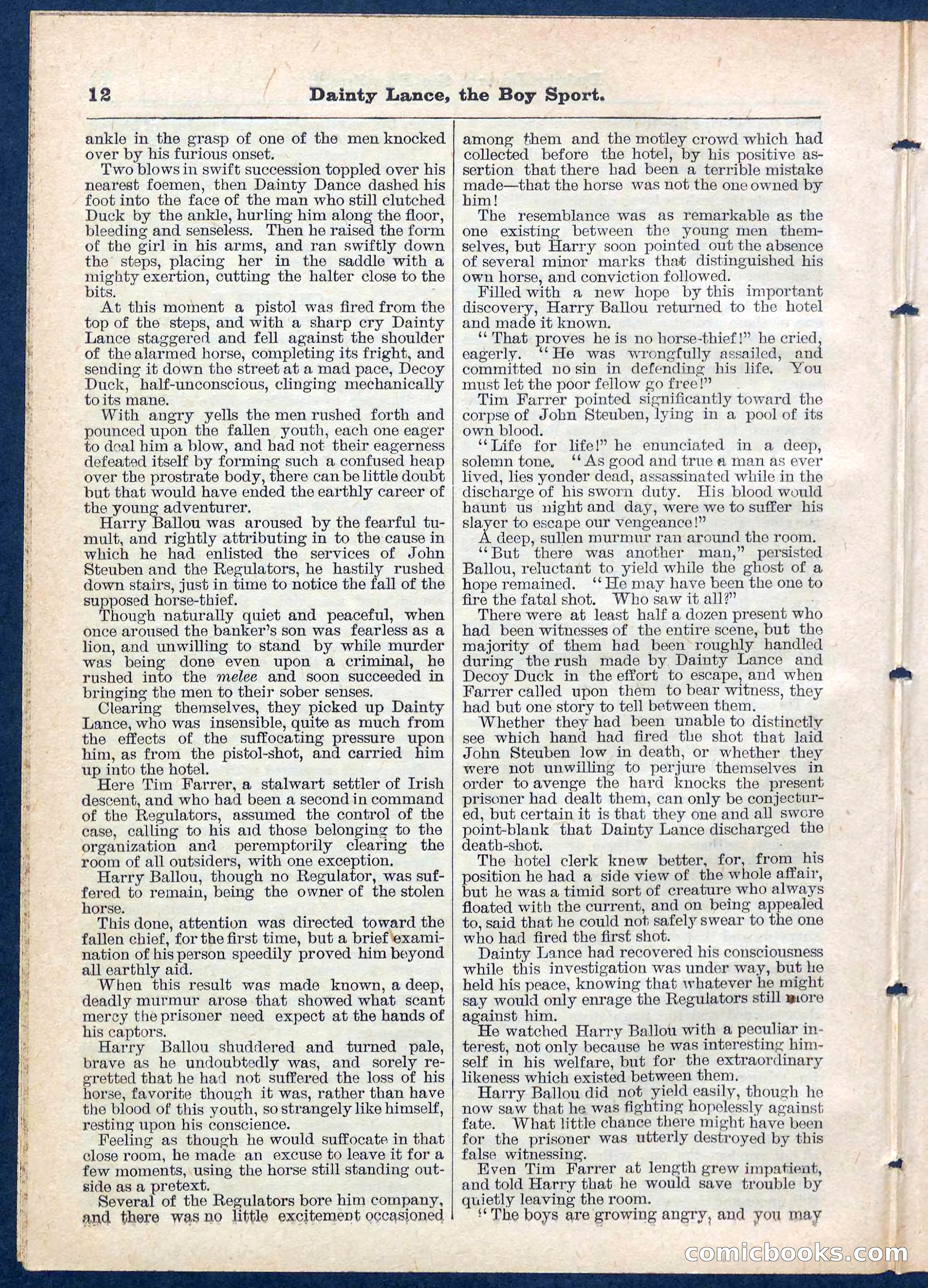 Beadle's Pocket Library No. 132 — page 12 of 32