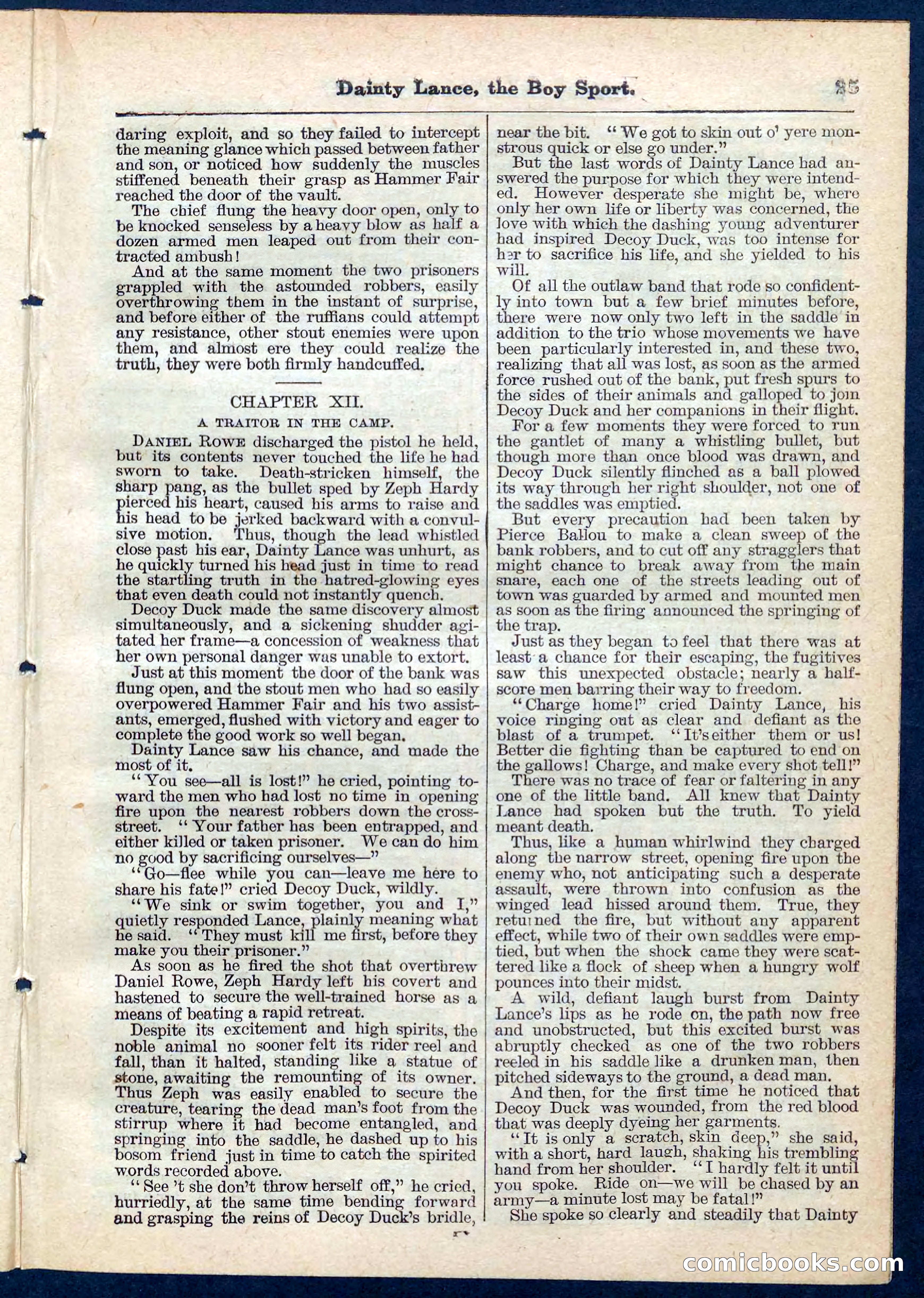 Beadle's Pocket Library No. 132 — page 25 of 32