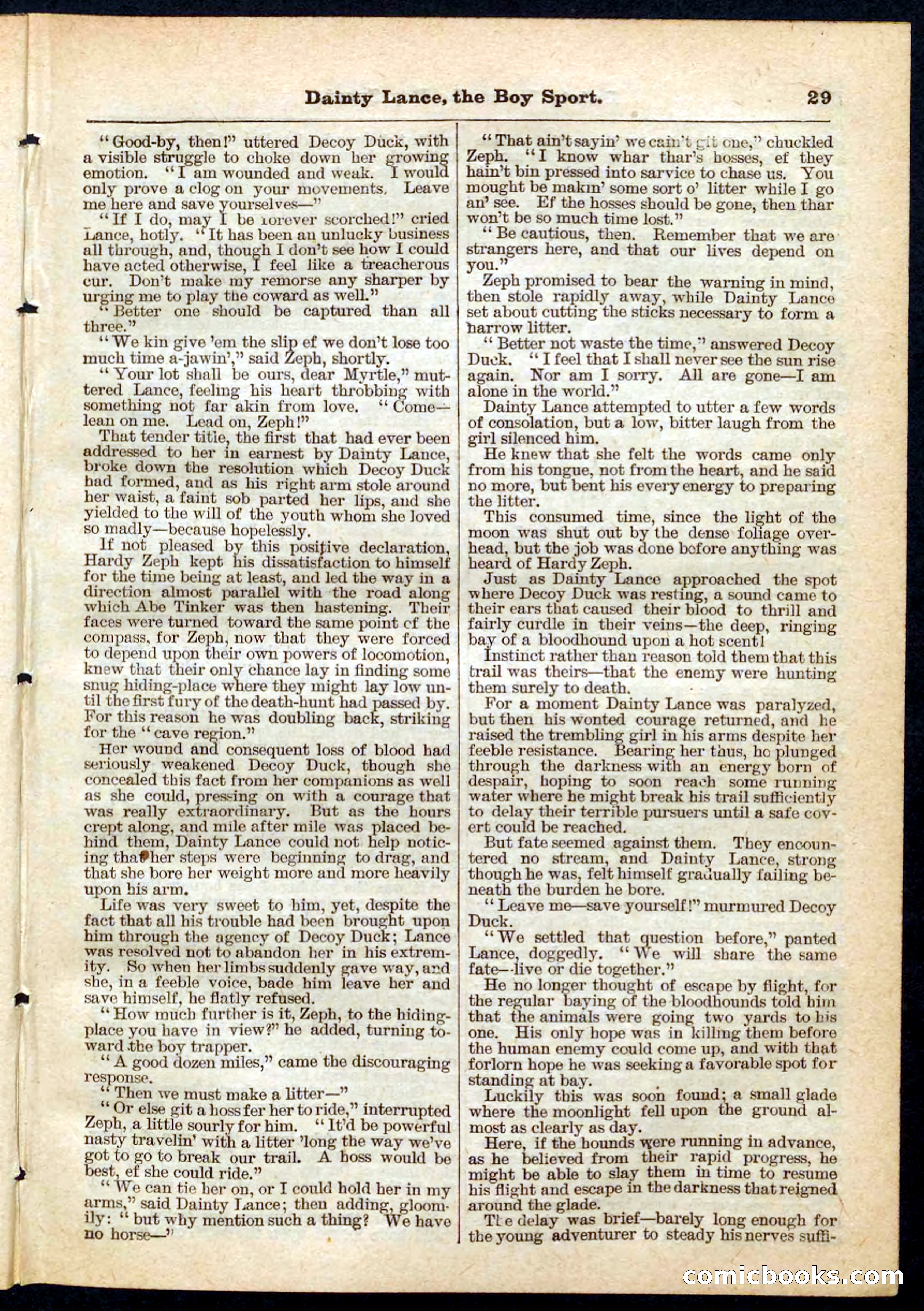 Beadle's Pocket Library No. 132 — page 29 of 32
