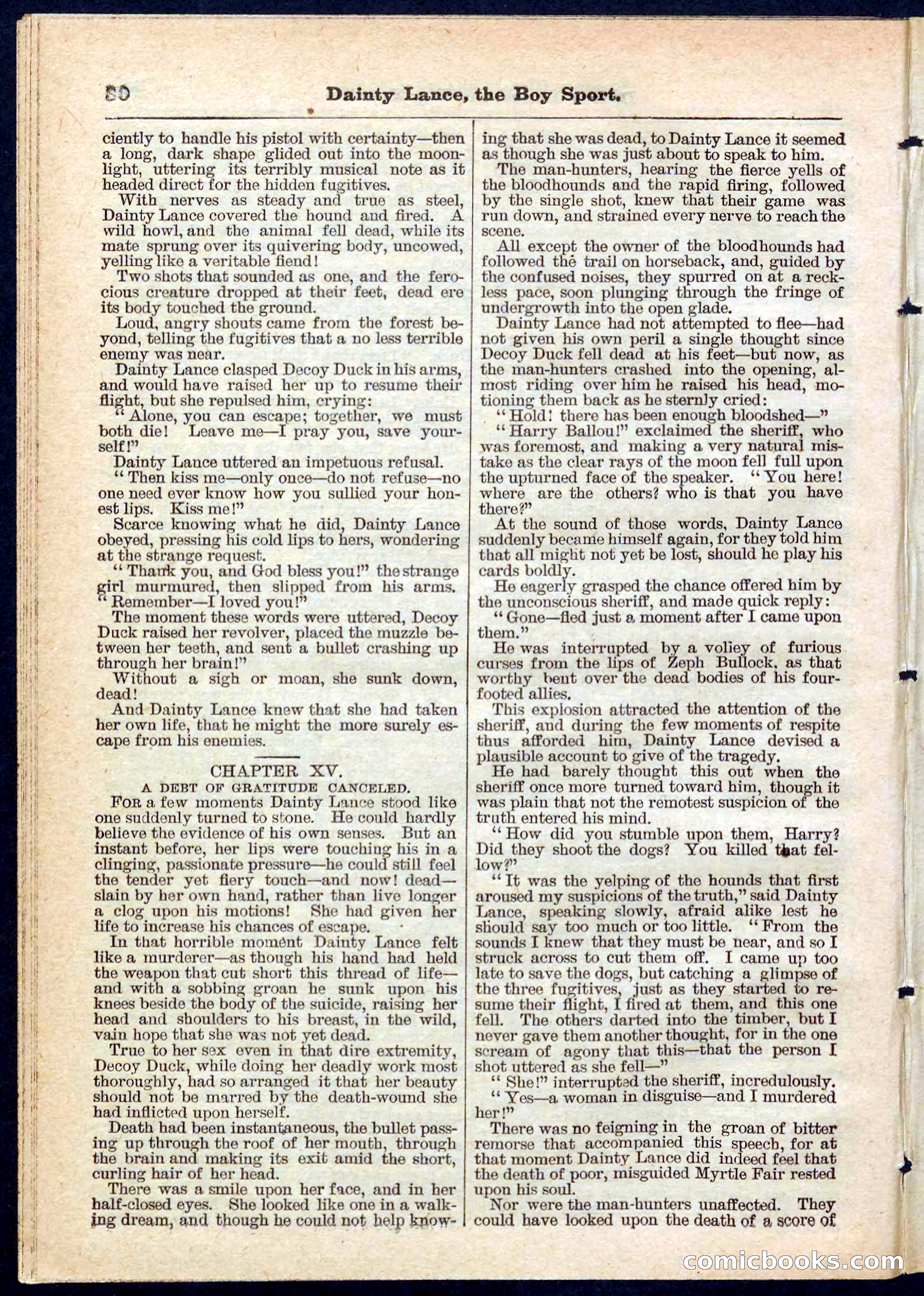 Beadle's Pocket Library No. 132 — page 30 of 32