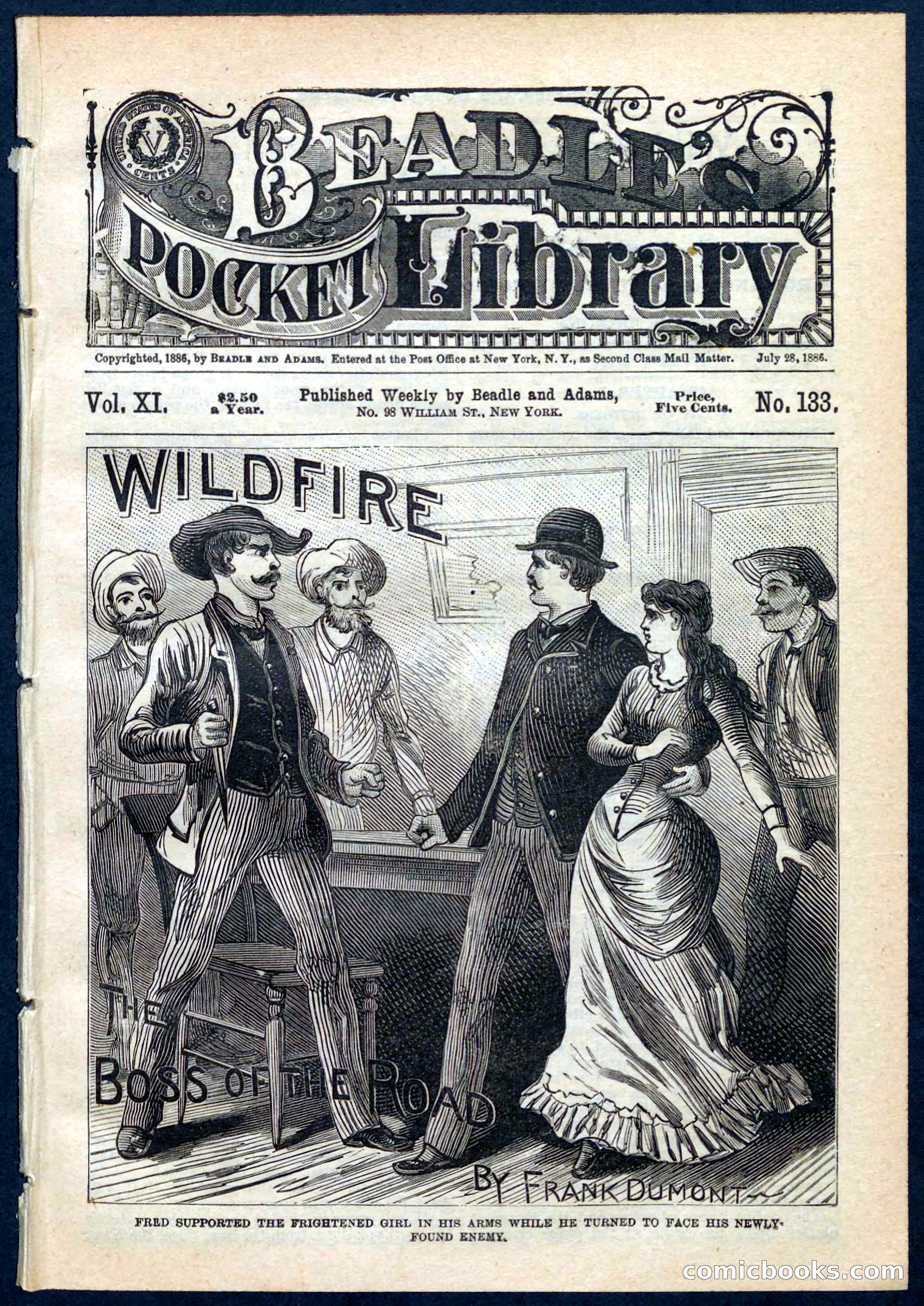 Beadle's Pocket Library No. 133 — page 1 of 32