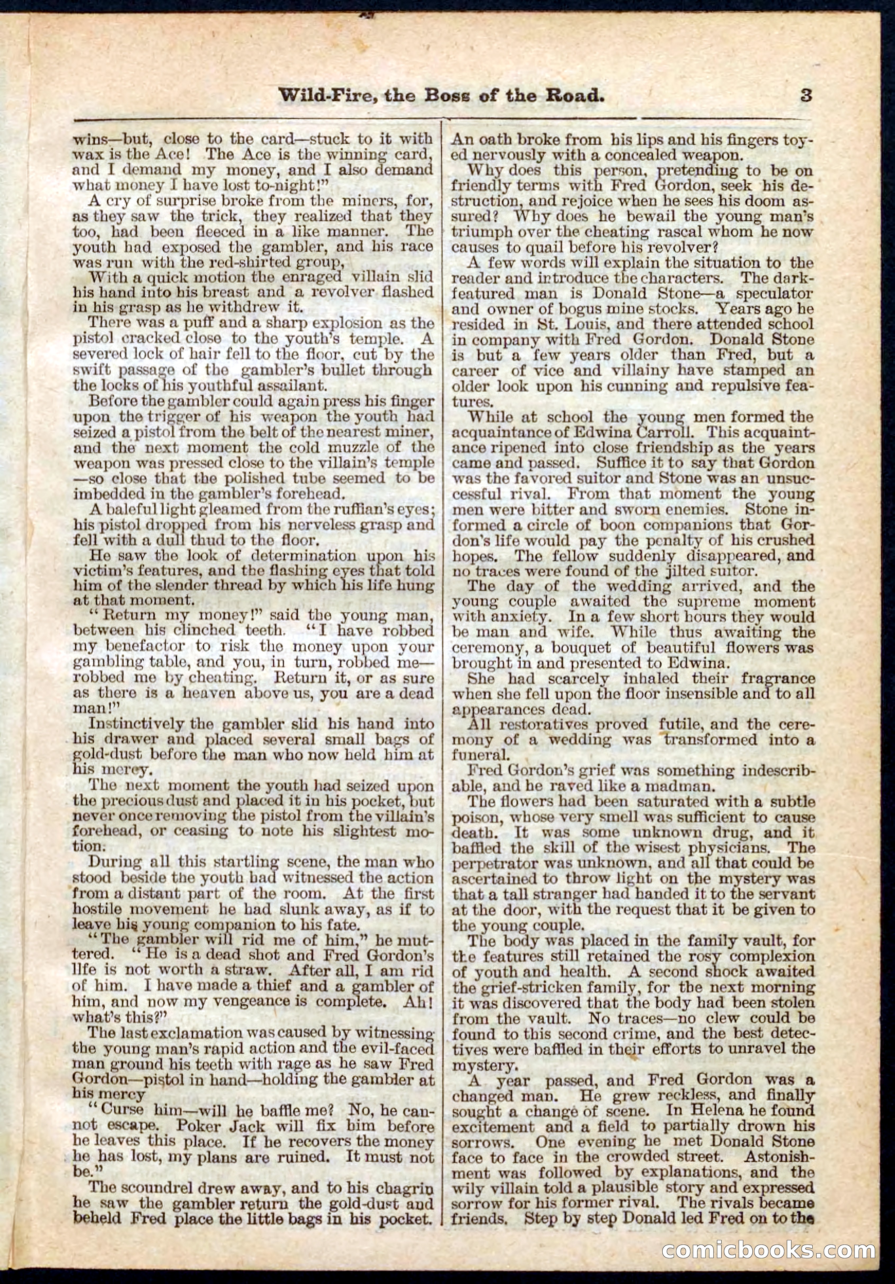 Beadle's Pocket Library No. 133 — page 3 of 32