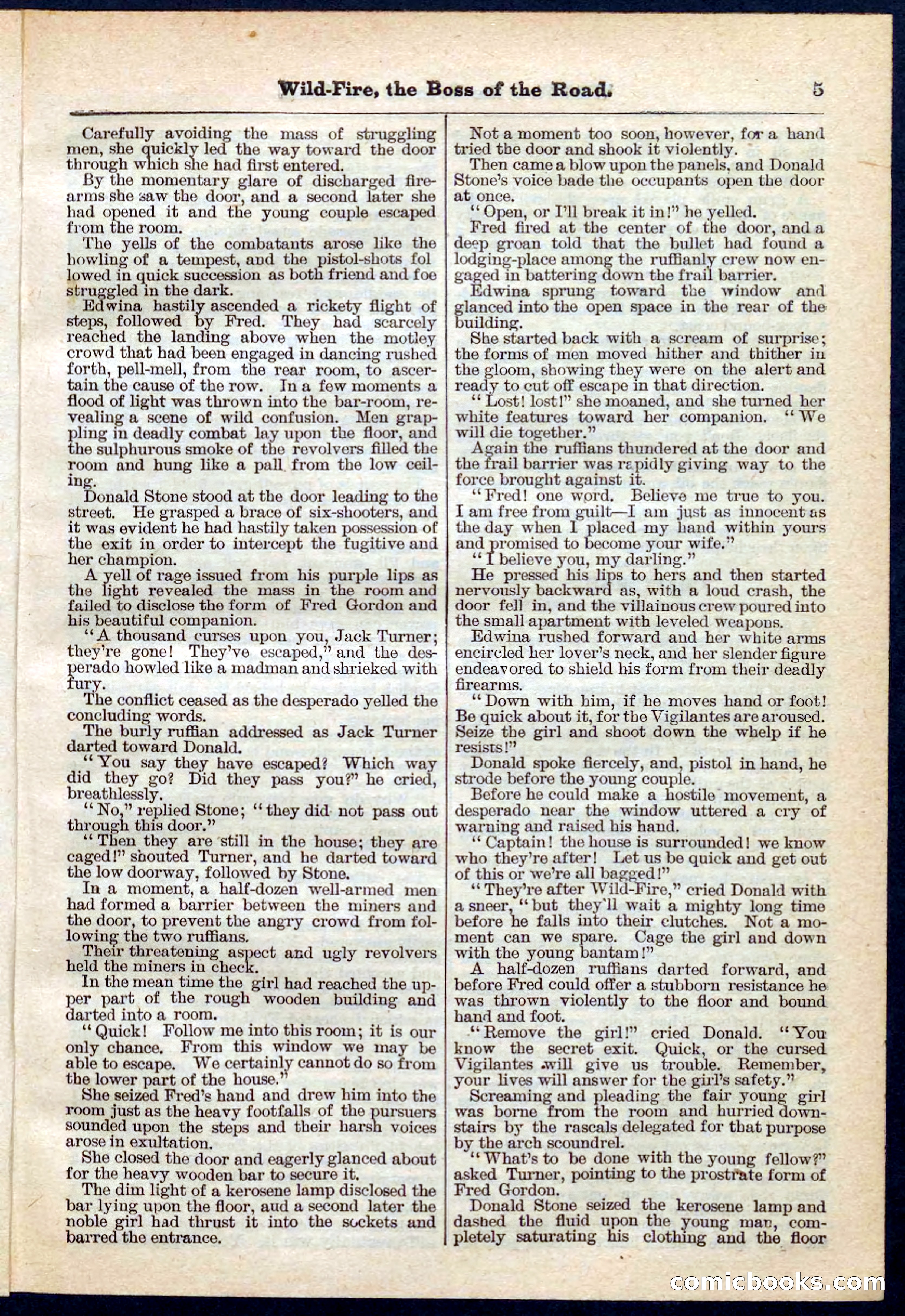Beadle's Pocket Library No. 133 — page 5 of 32