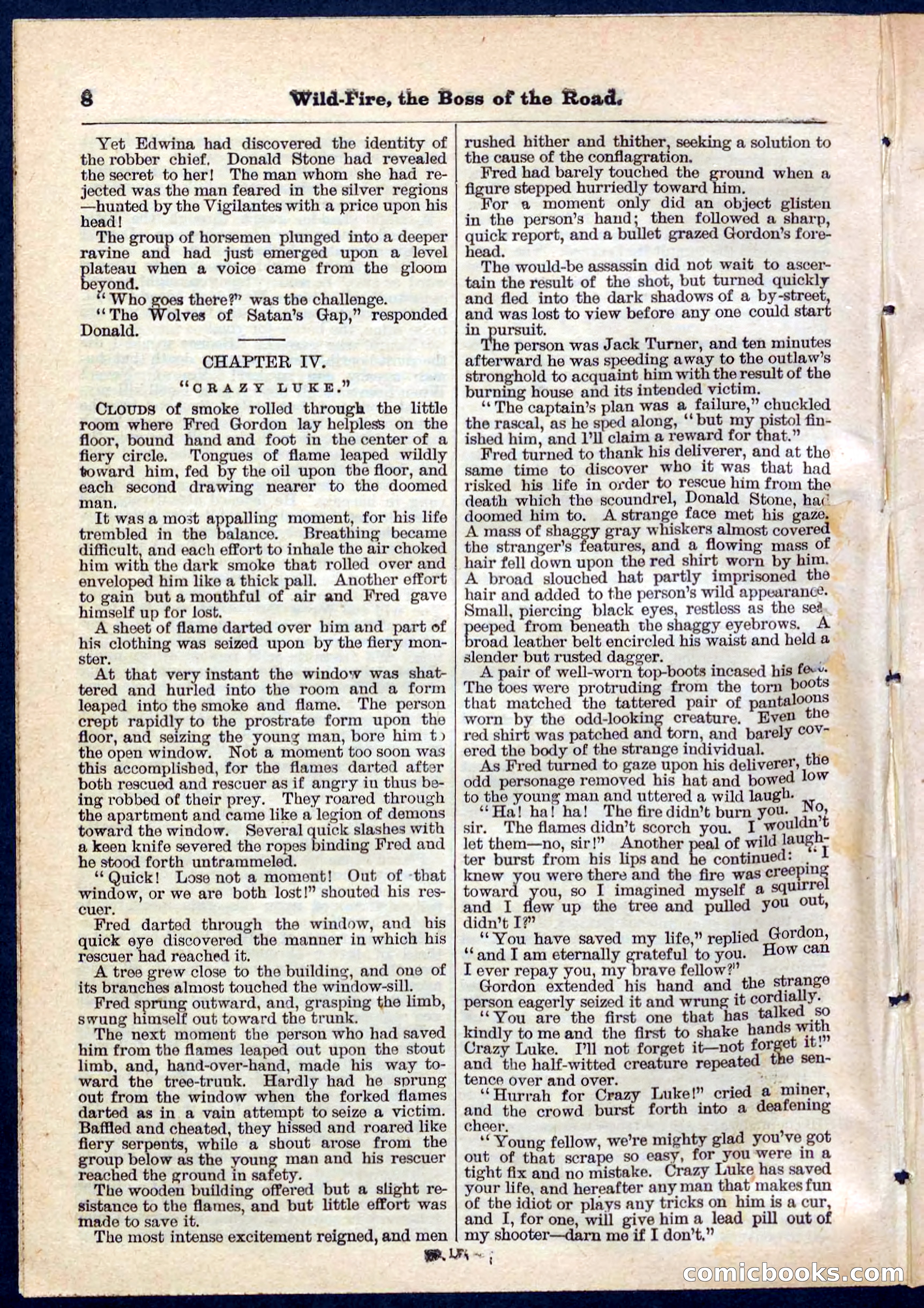 Beadle's Pocket Library No. 133 — page 8 of 32