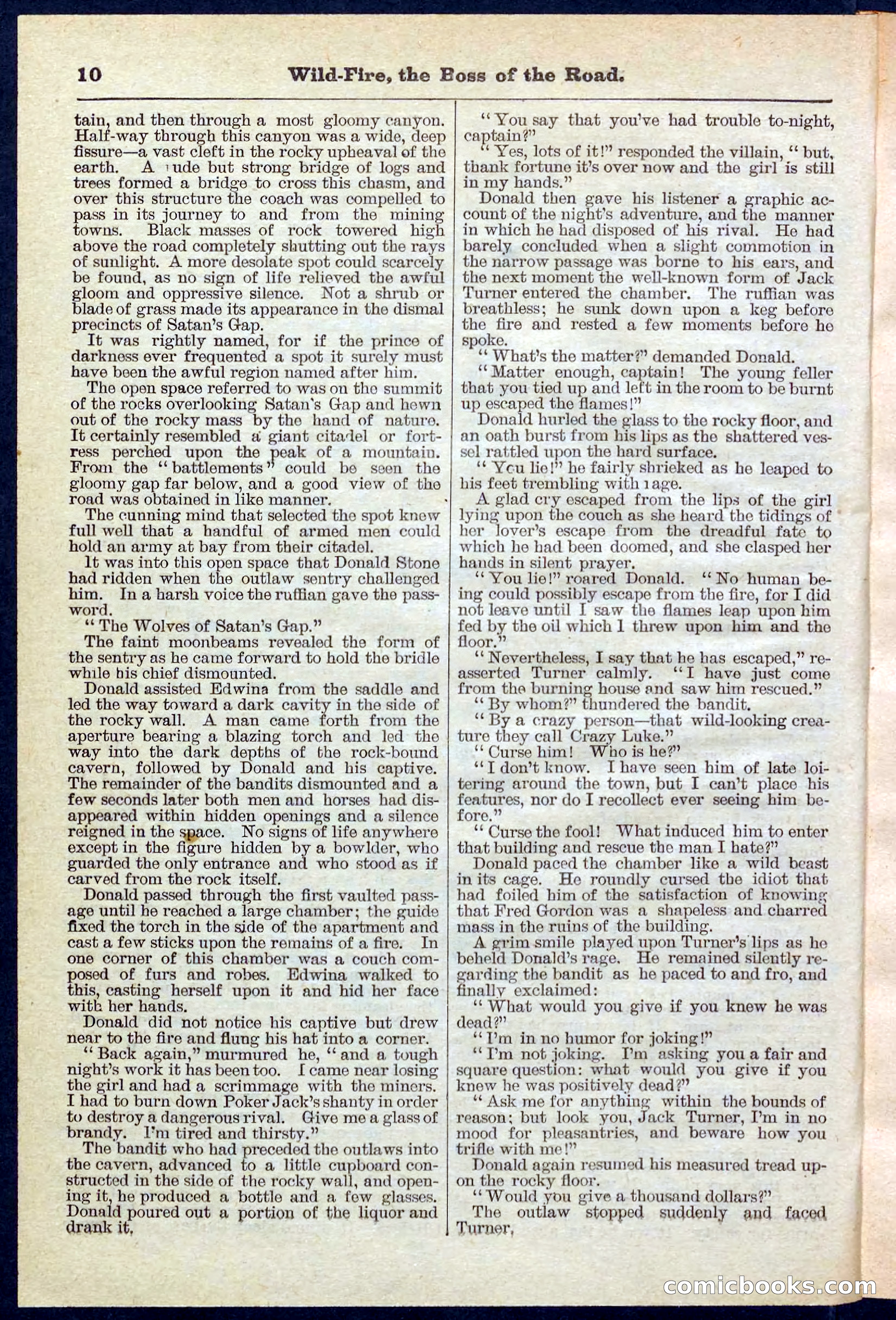 Beadle's Pocket Library No. 133 — page 10 of 32