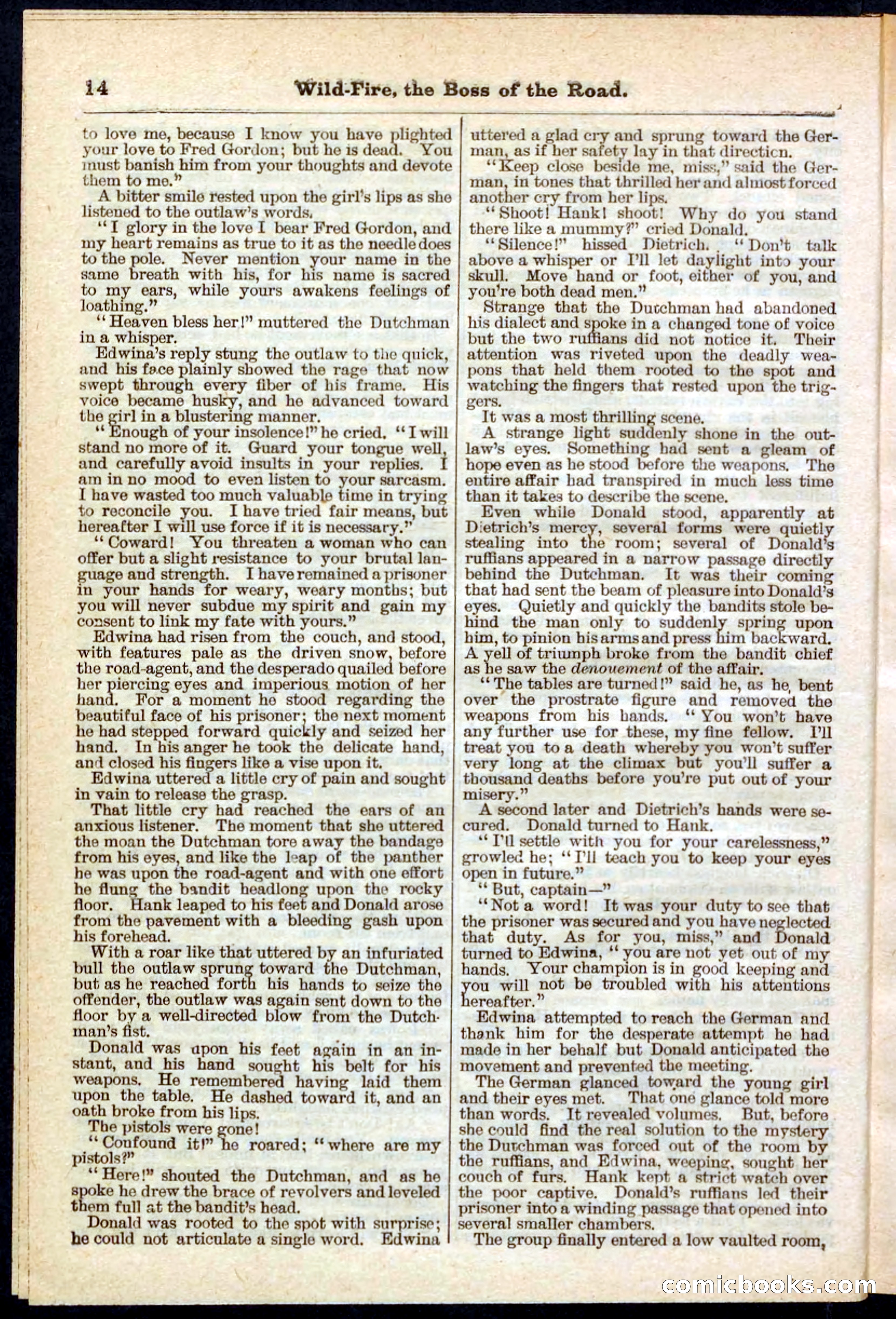 Beadle's Pocket Library No. 133 — page 14 of 32