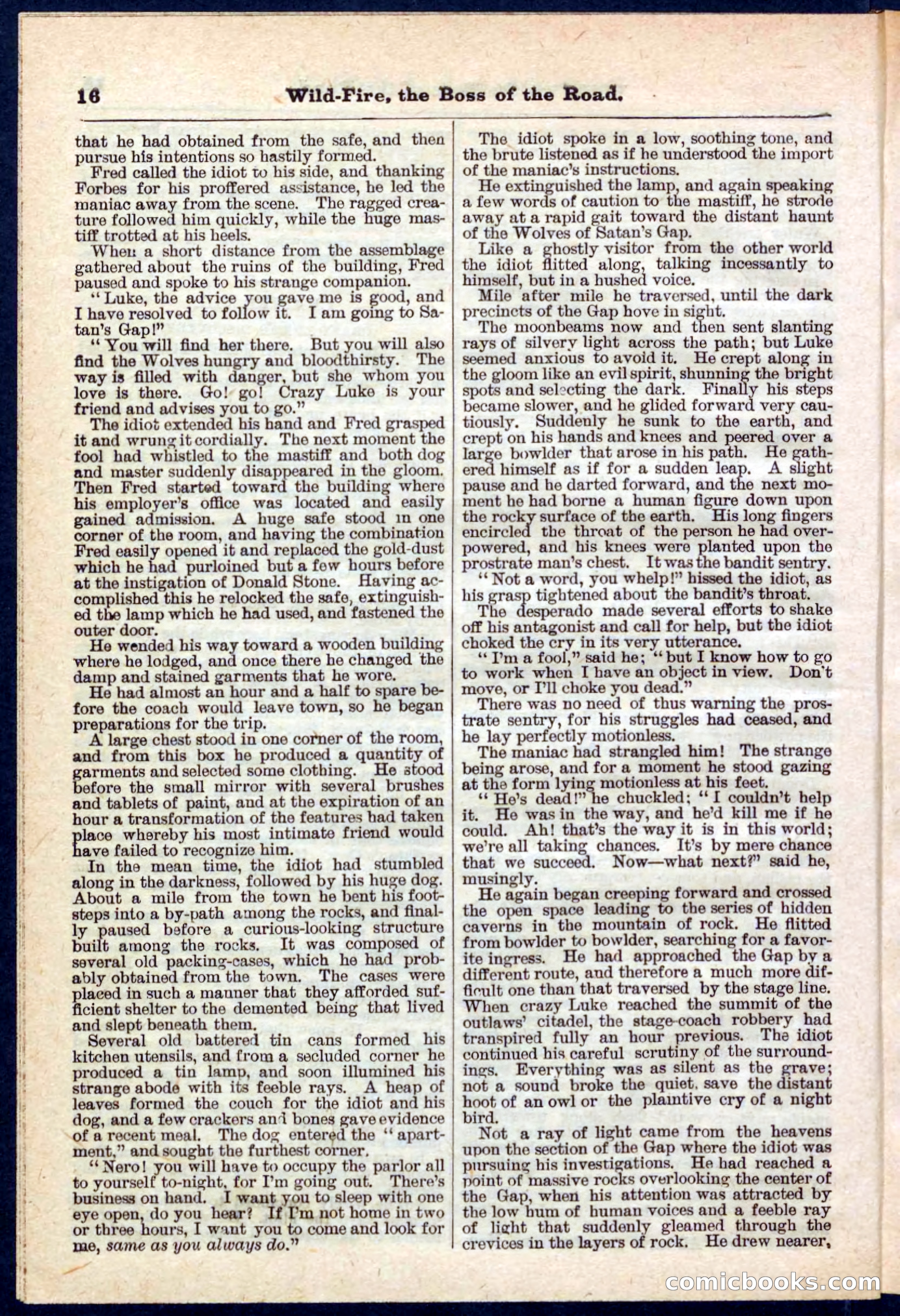Beadle's Pocket Library No. 133 — page 16 of 32