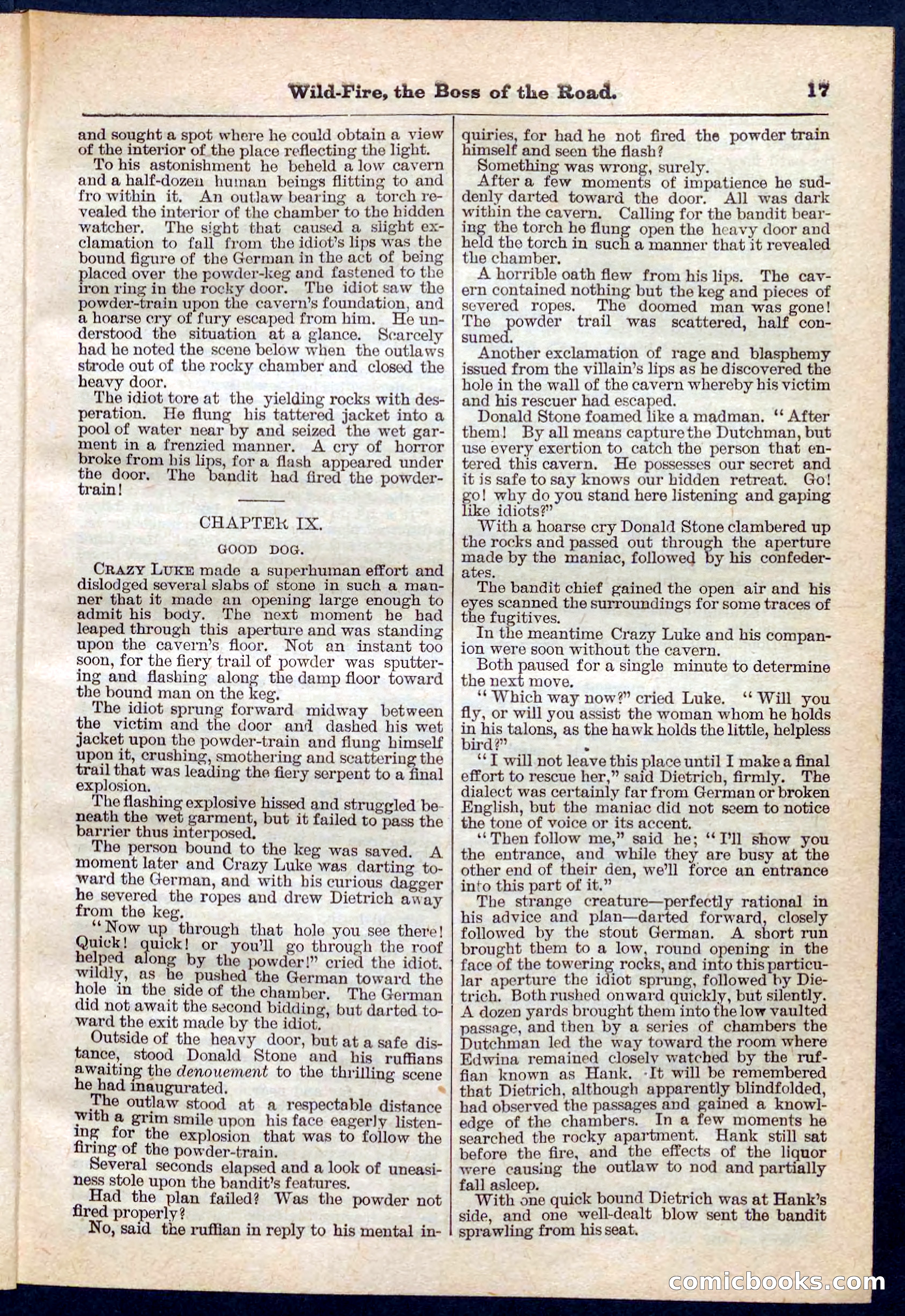 Beadle's Pocket Library No. 133 — page 17 of 32