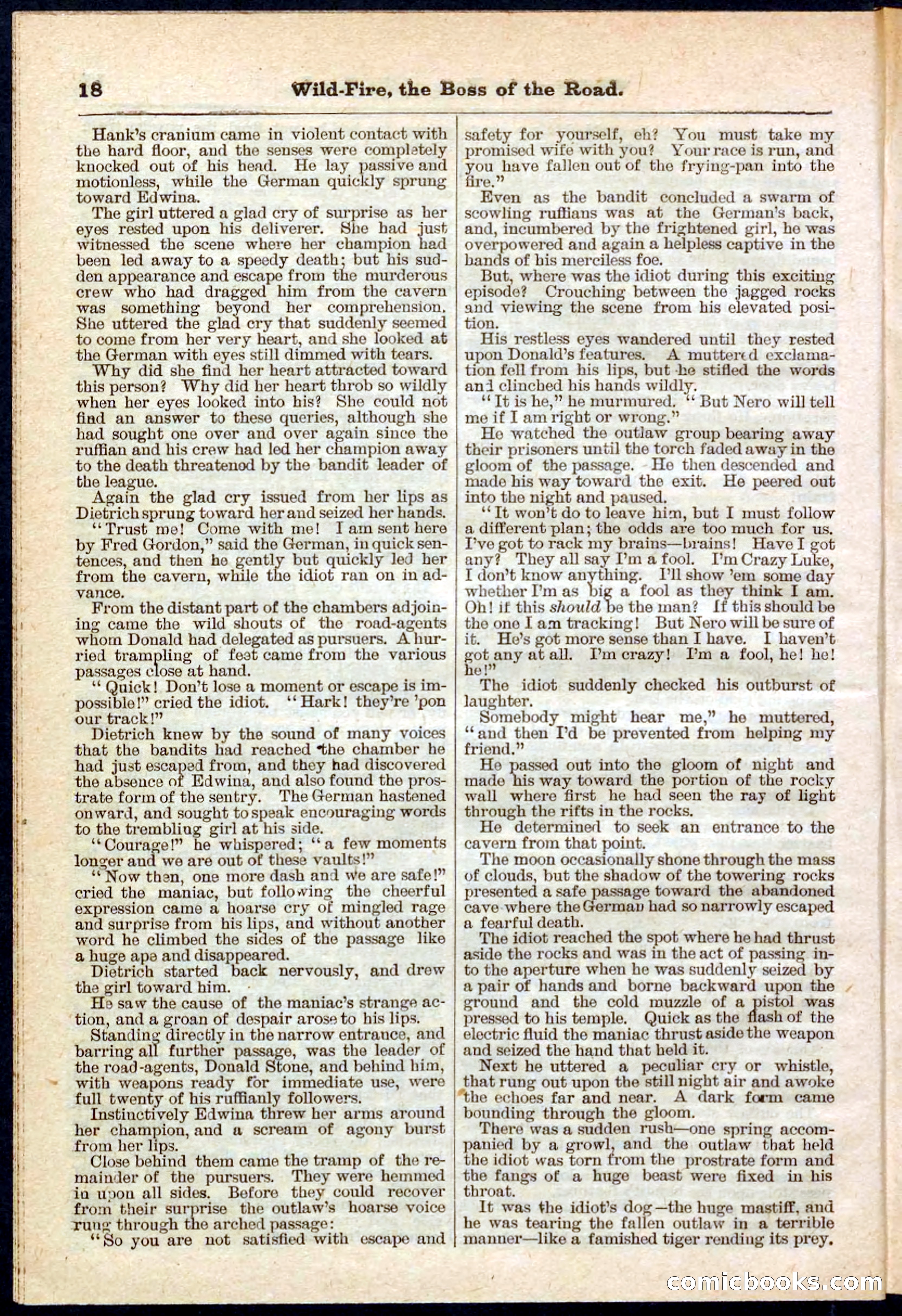 Beadle's Pocket Library No. 133 — page 18 of 32