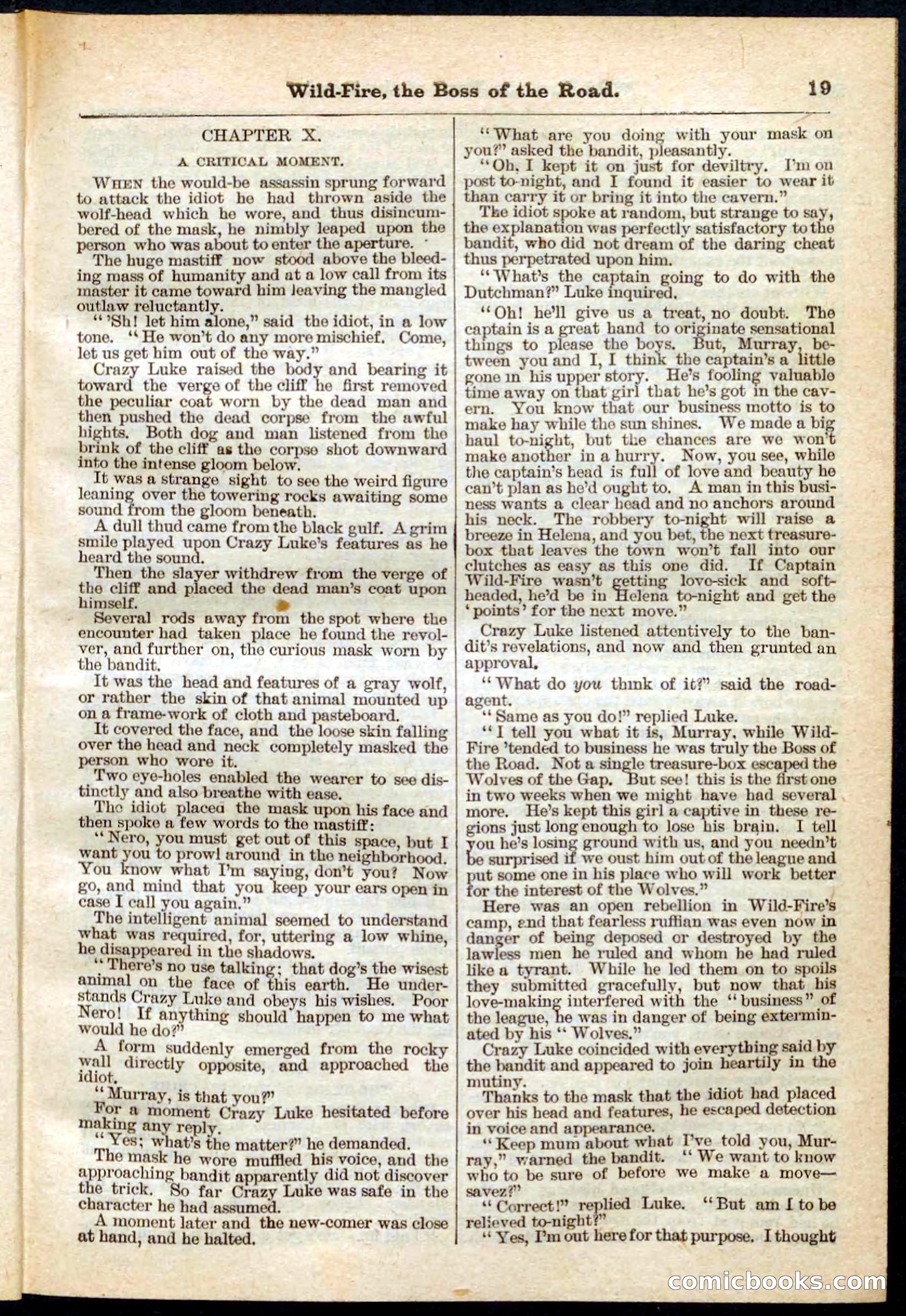 Beadle's Pocket Library No. 133 — page 19 of 32