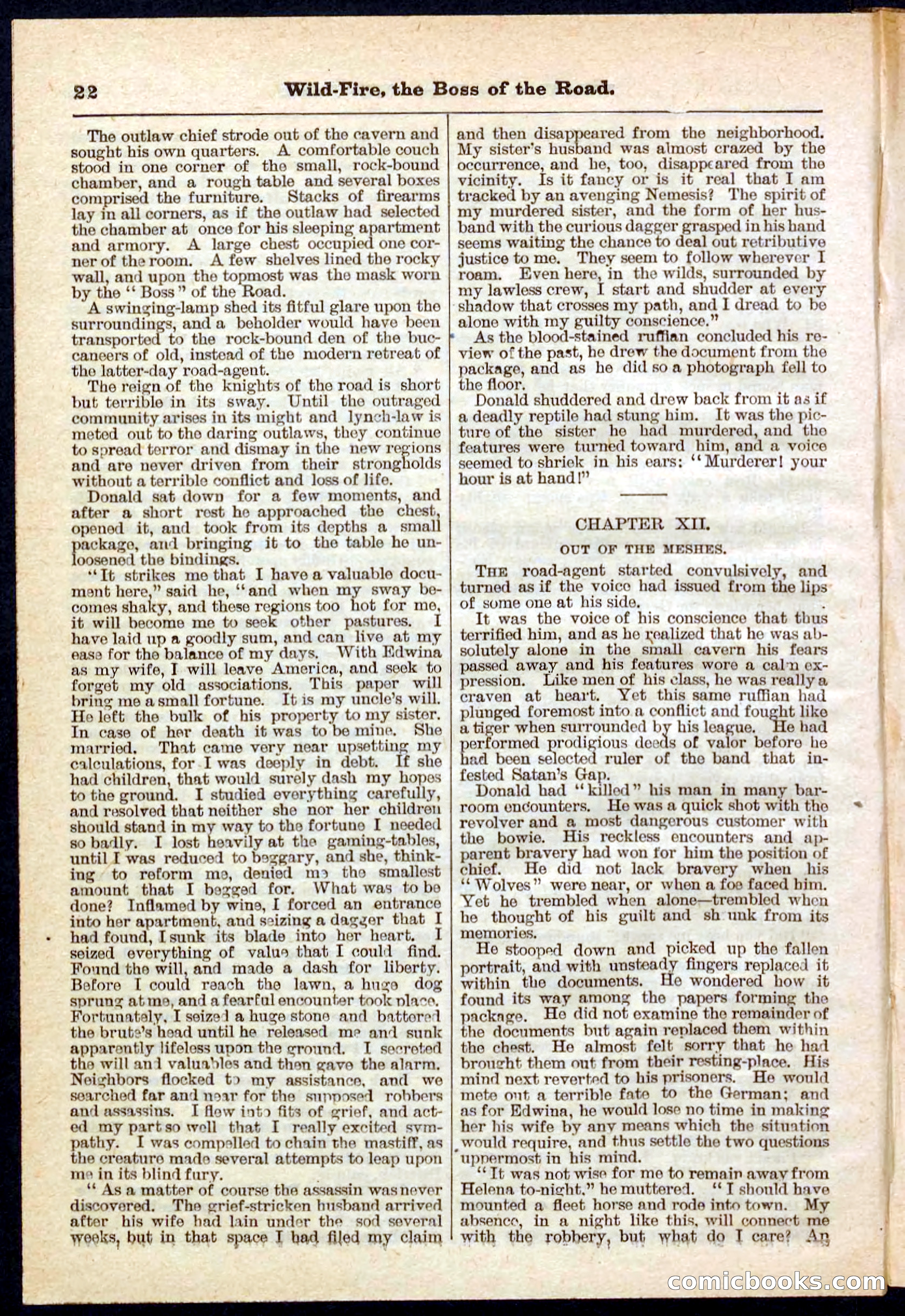 Beadle's Pocket Library No. 133 — page 22 of 32