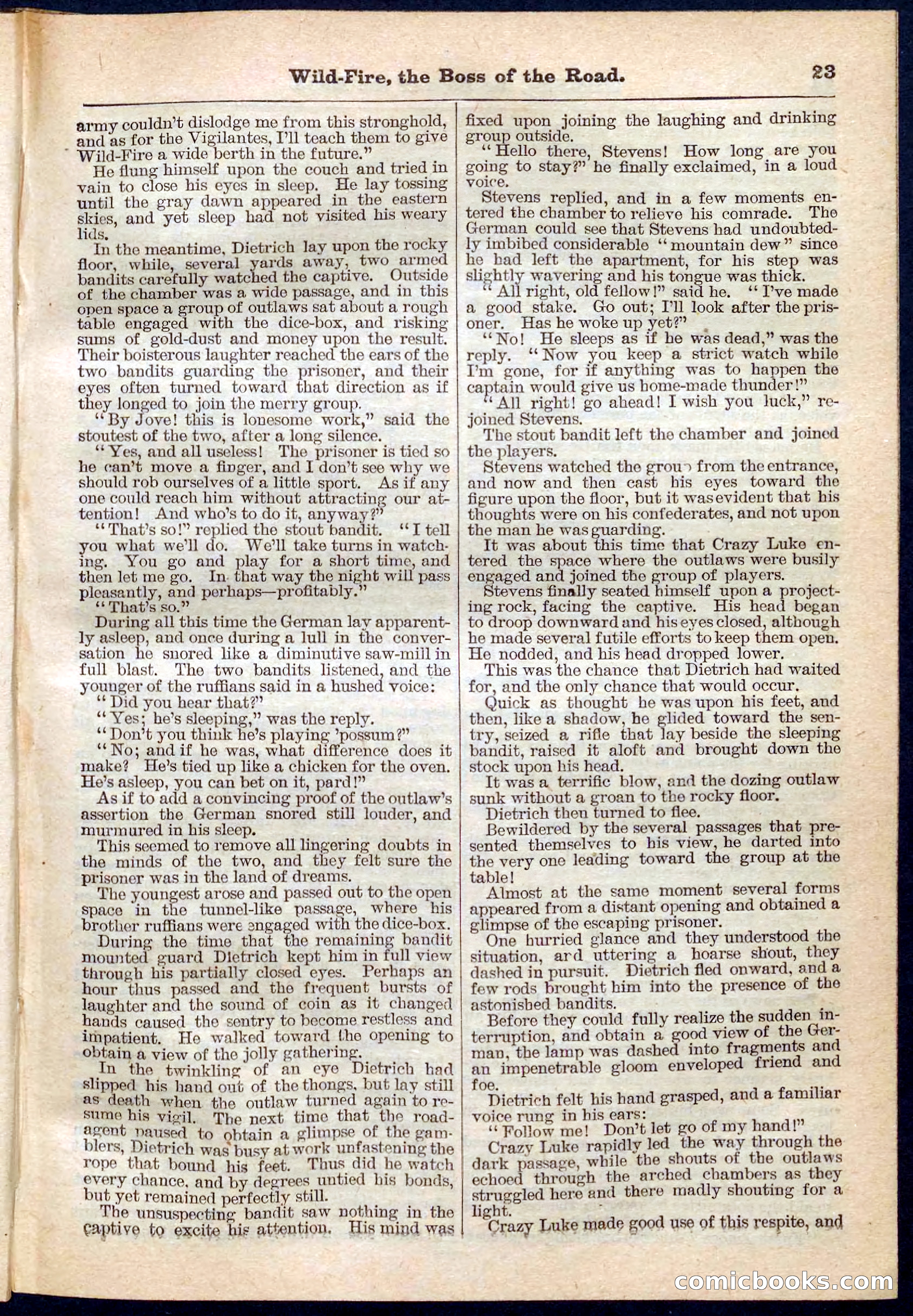 Beadle's Pocket Library No. 133 — page 23 of 32