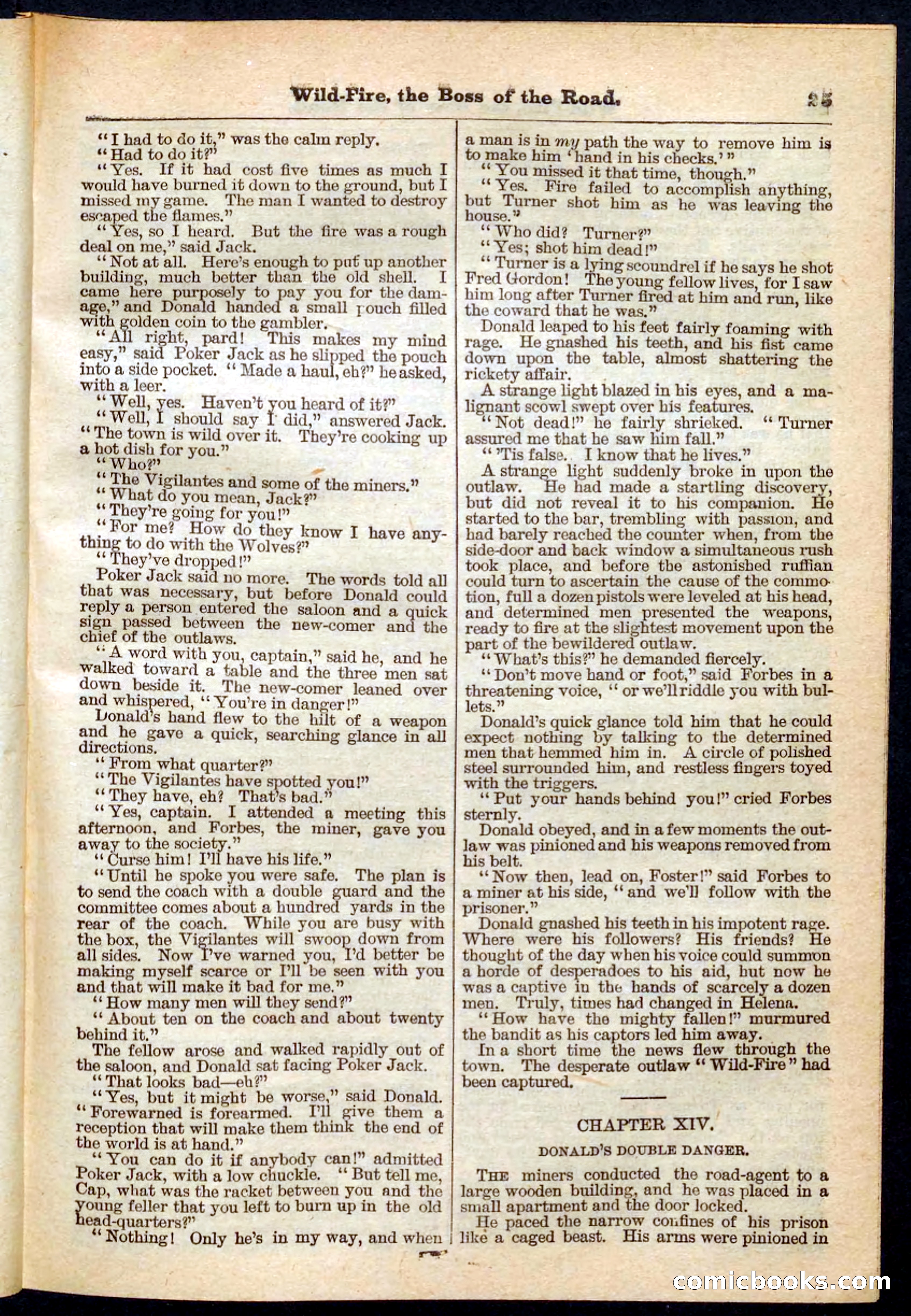 Beadle's Pocket Library No. 133 — page 25 of 32