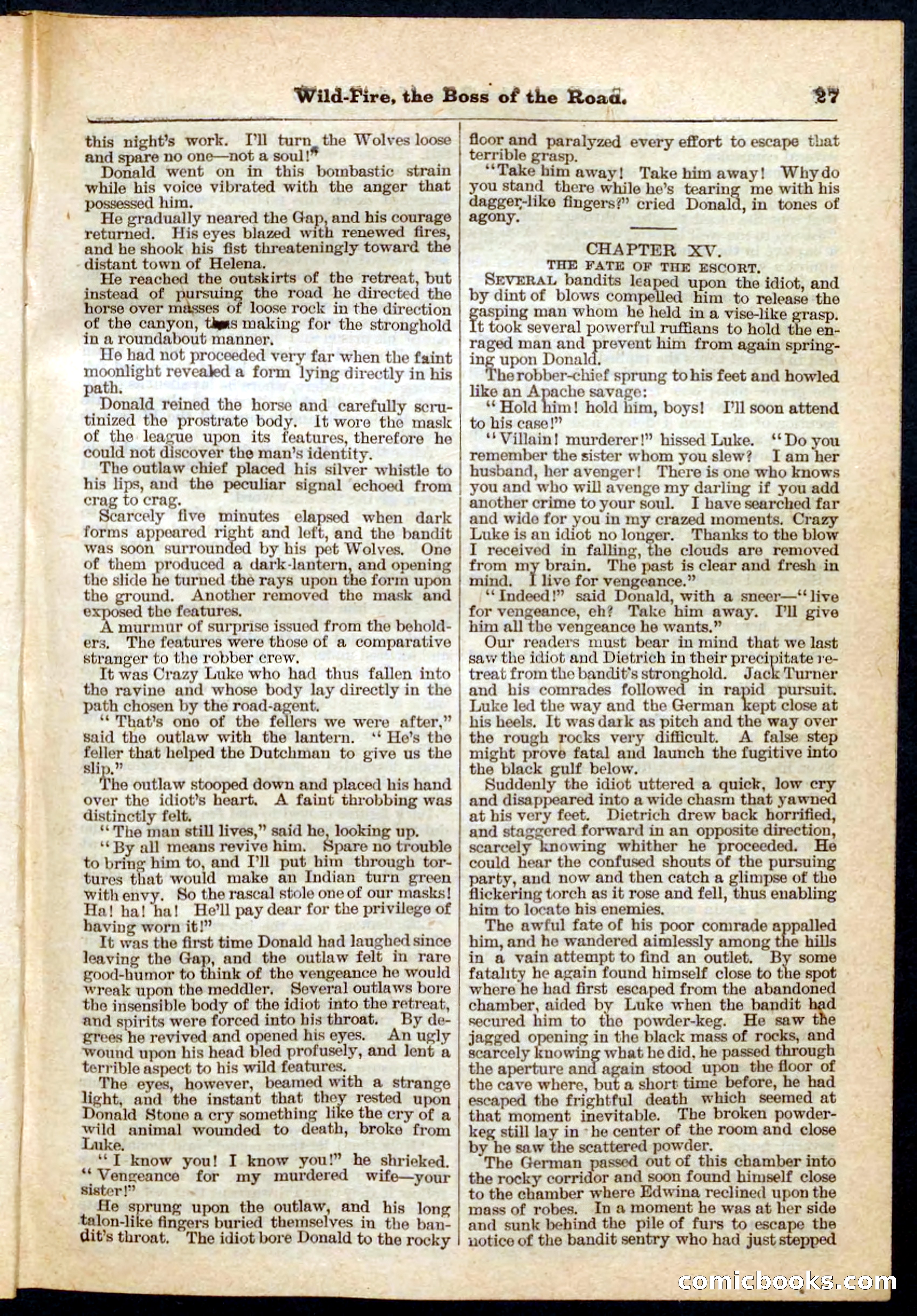 Beadle's Pocket Library No. 133 — page 27 of 32