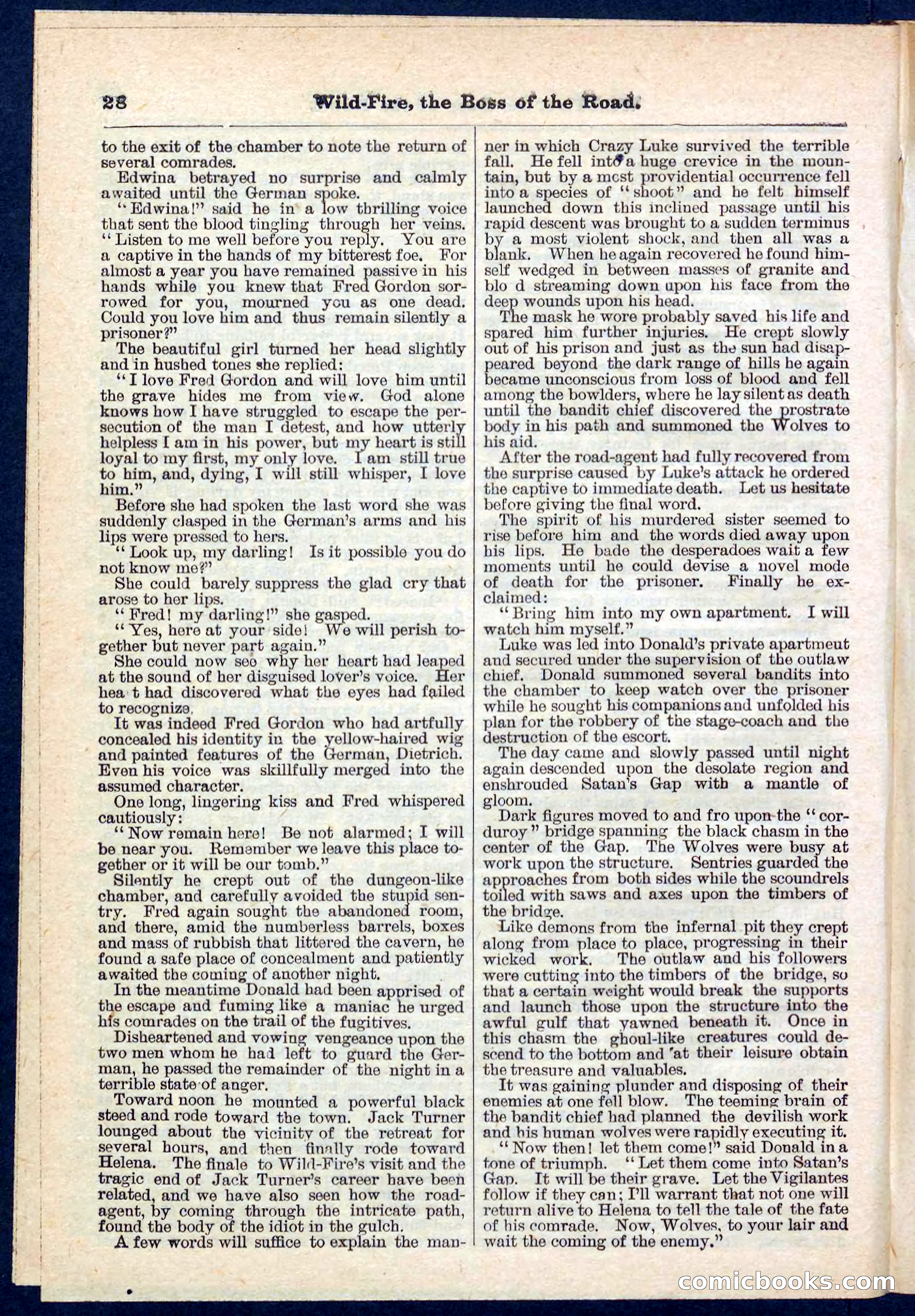 Beadle's Pocket Library No. 133 — page 28 of 32