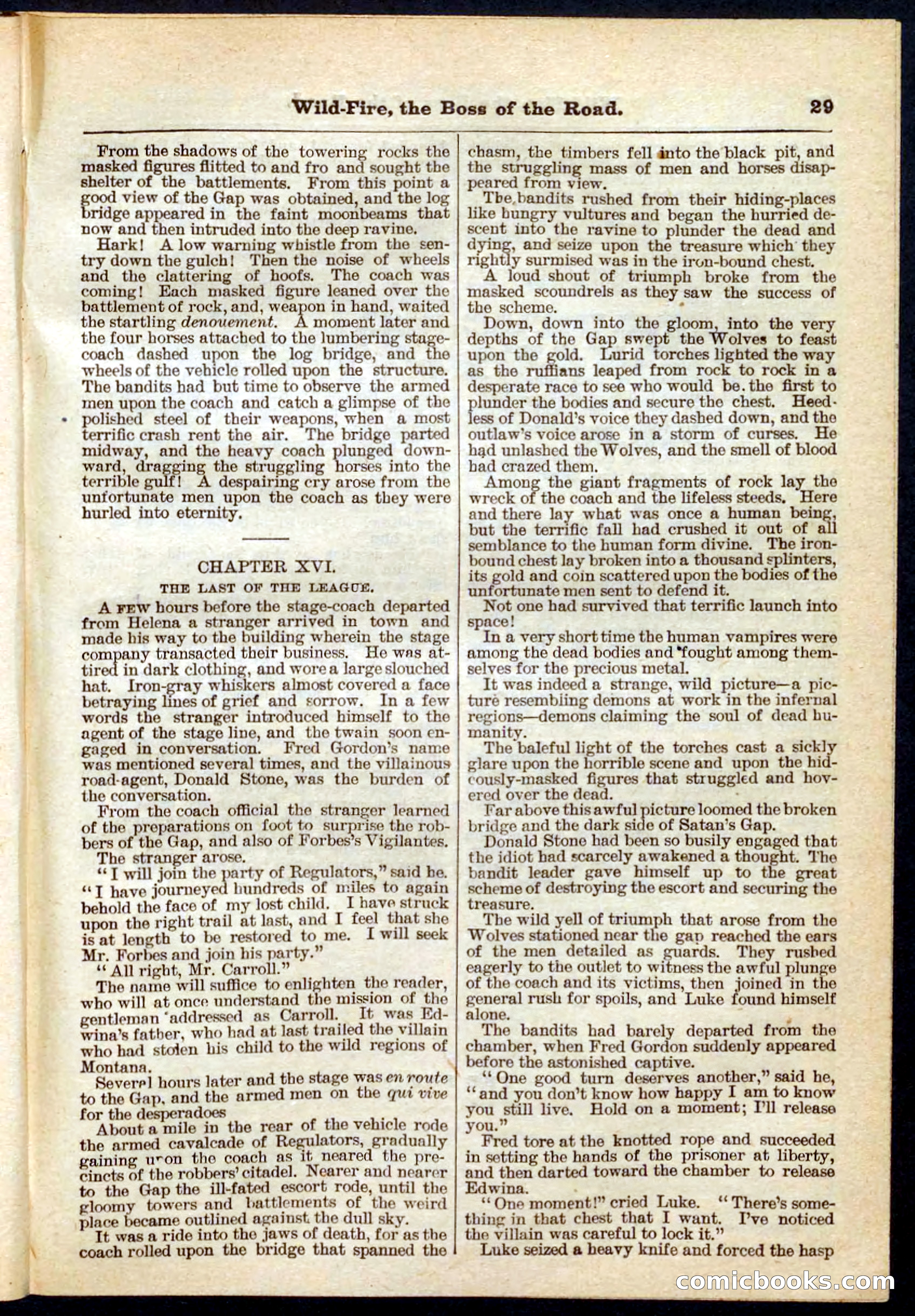 Beadle's Pocket Library No. 133 — page 29 of 32