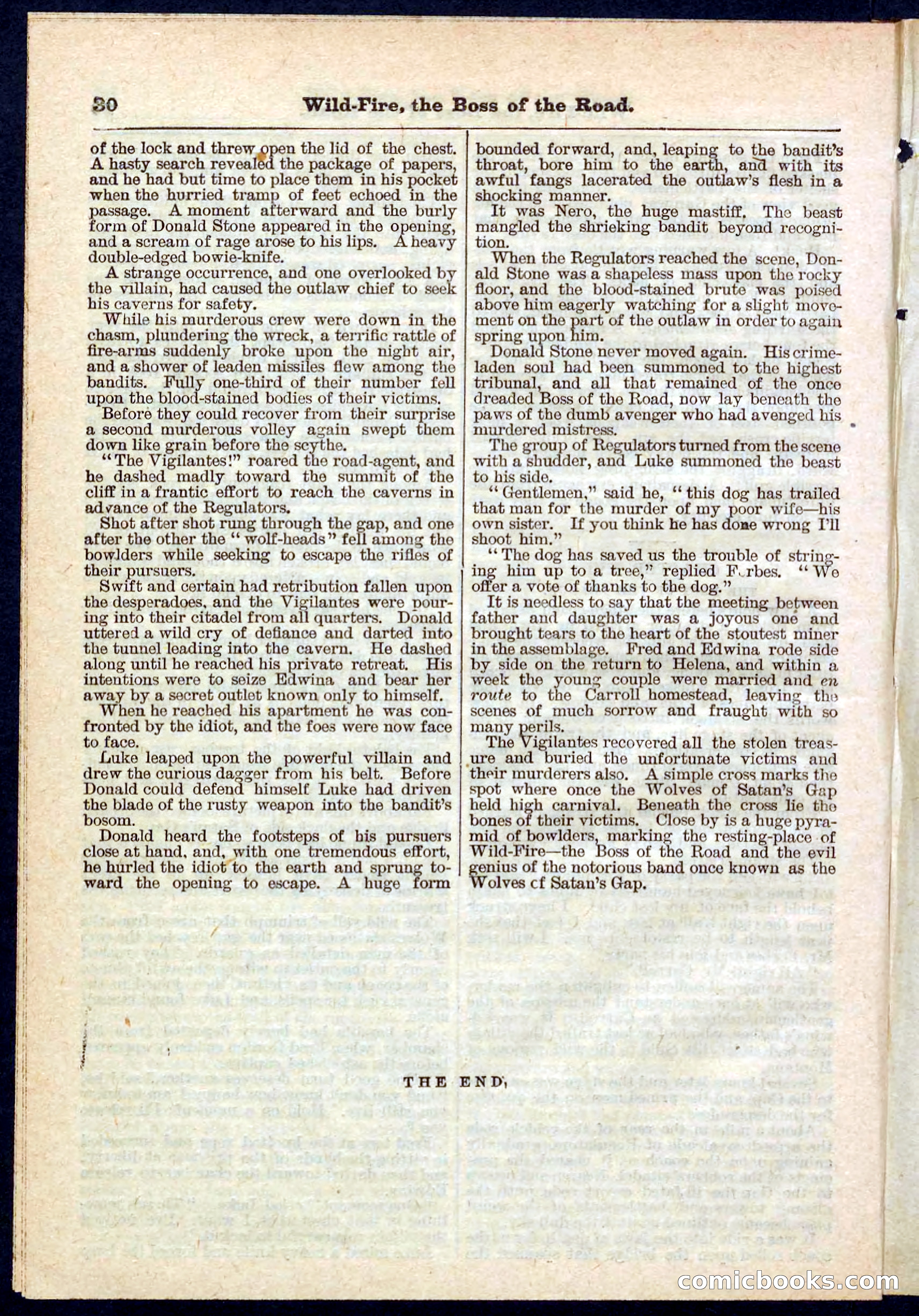 Beadle's Pocket Library No. 133 — page 30 of 32