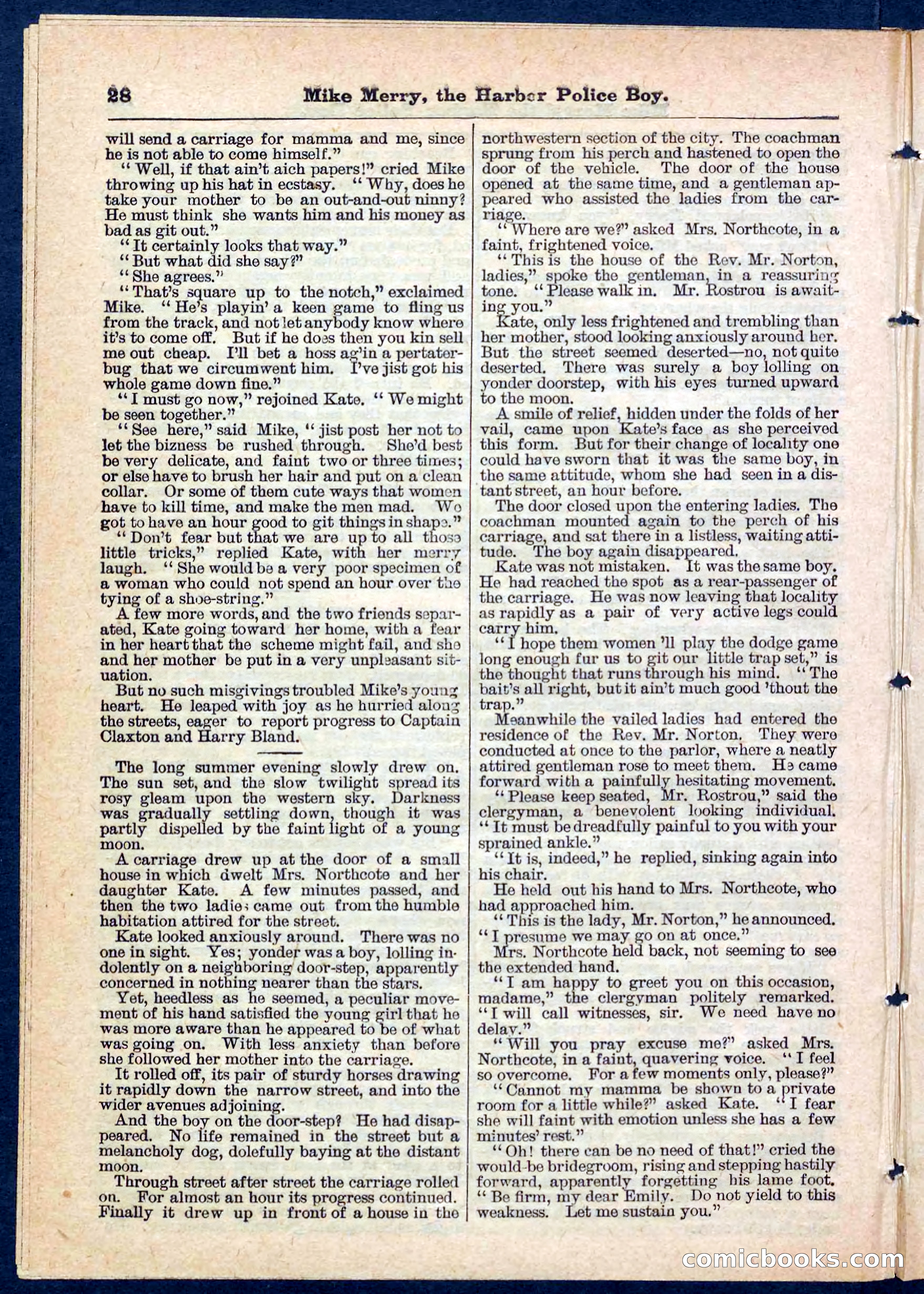 Beadle's Pocket Library No. 134 — page 28 of 32