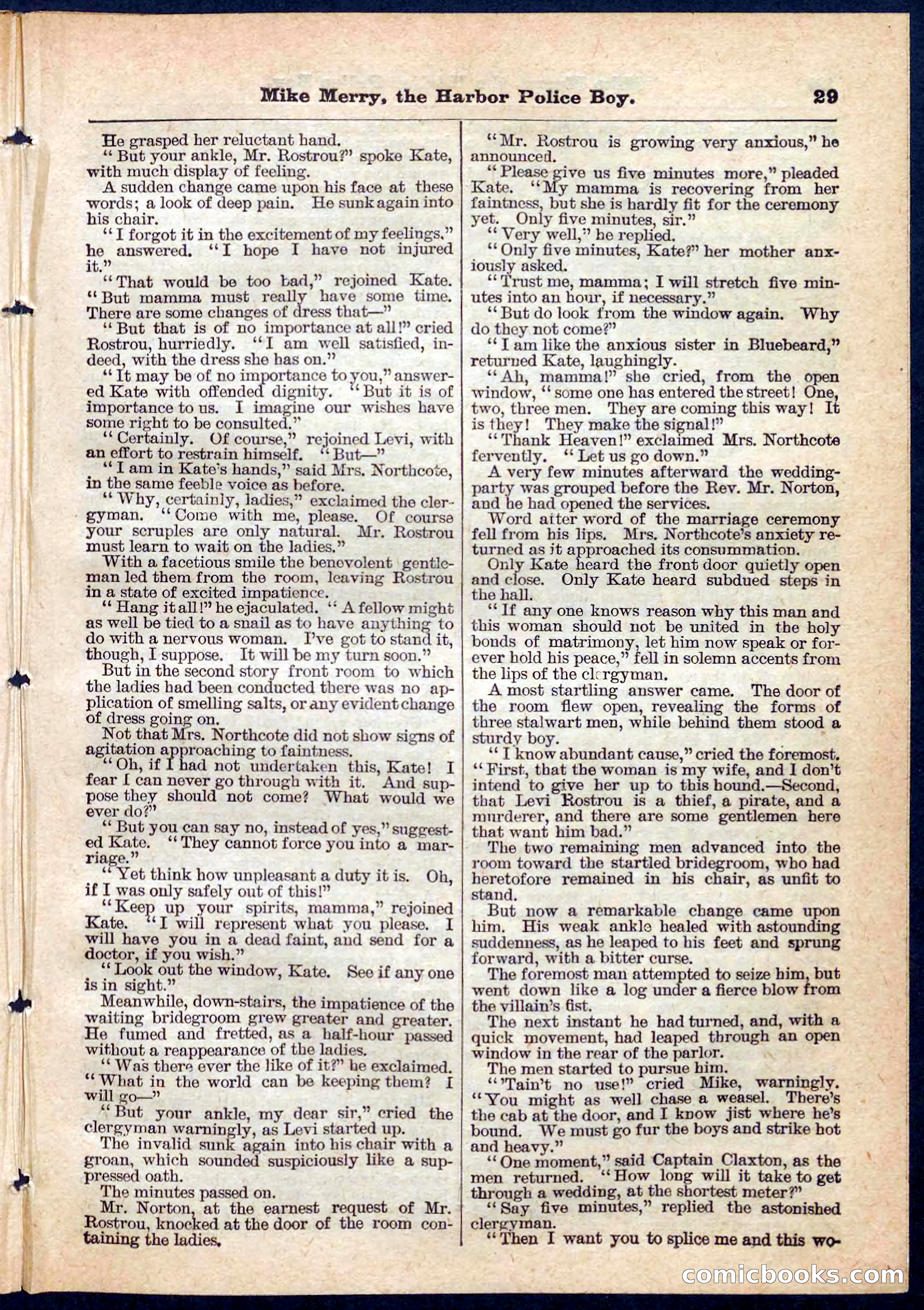 Beadle's Pocket Library No. 134 — page 29 of 32