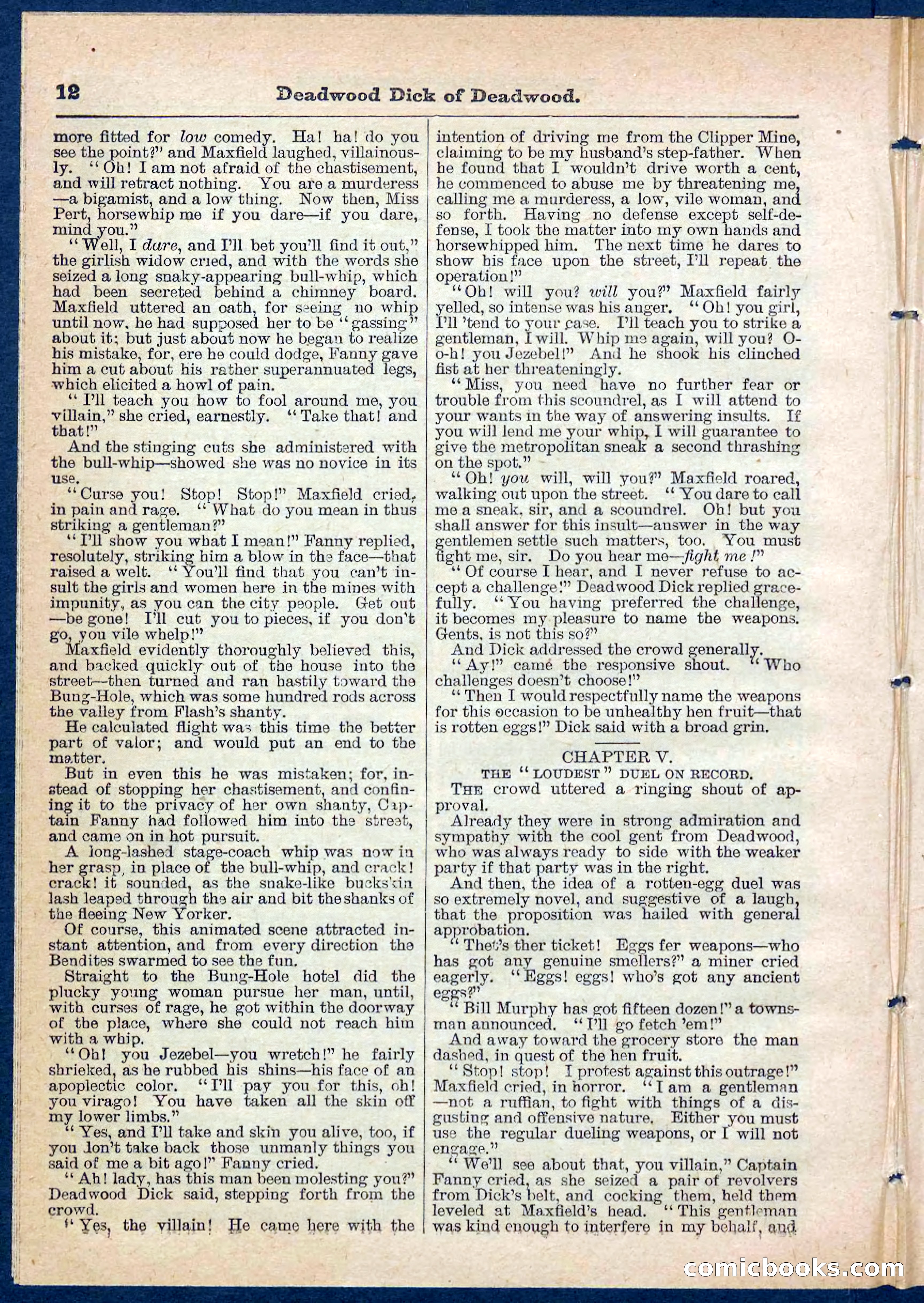 Beadle's Pocket Library No. 135 — page 12 of 32