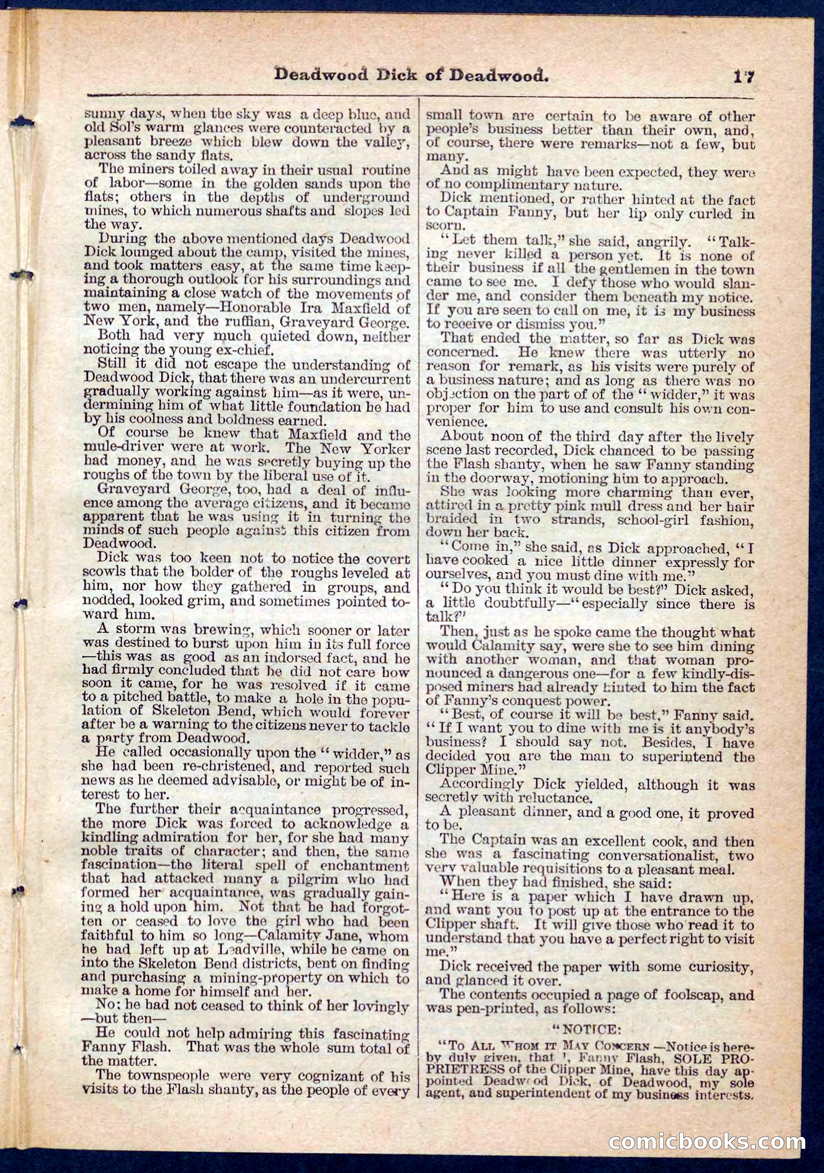 Beadle's Pocket Library No. 135 — page 17 of 32