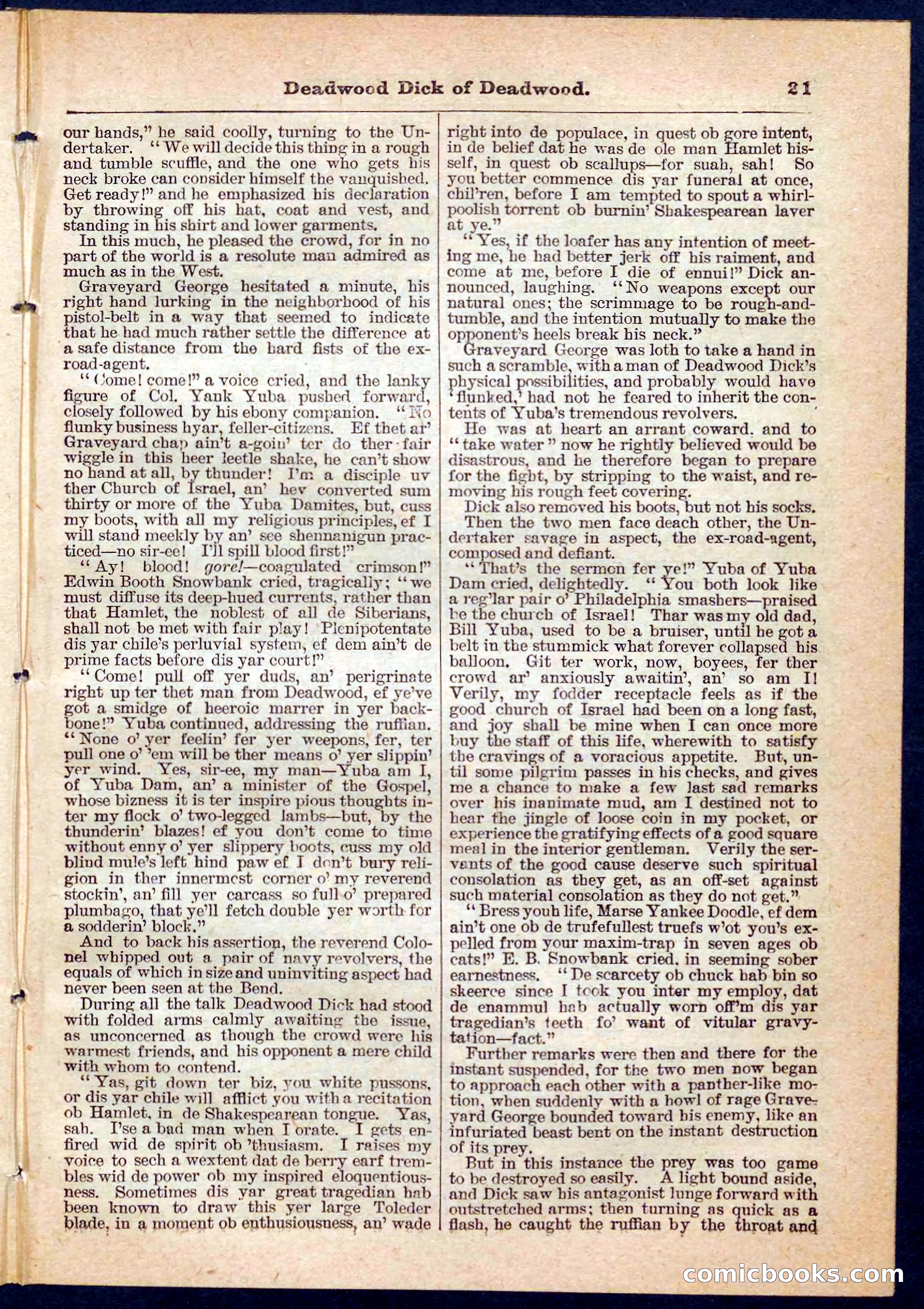 Beadle's Pocket Library No. 135 — page 21 of 32
