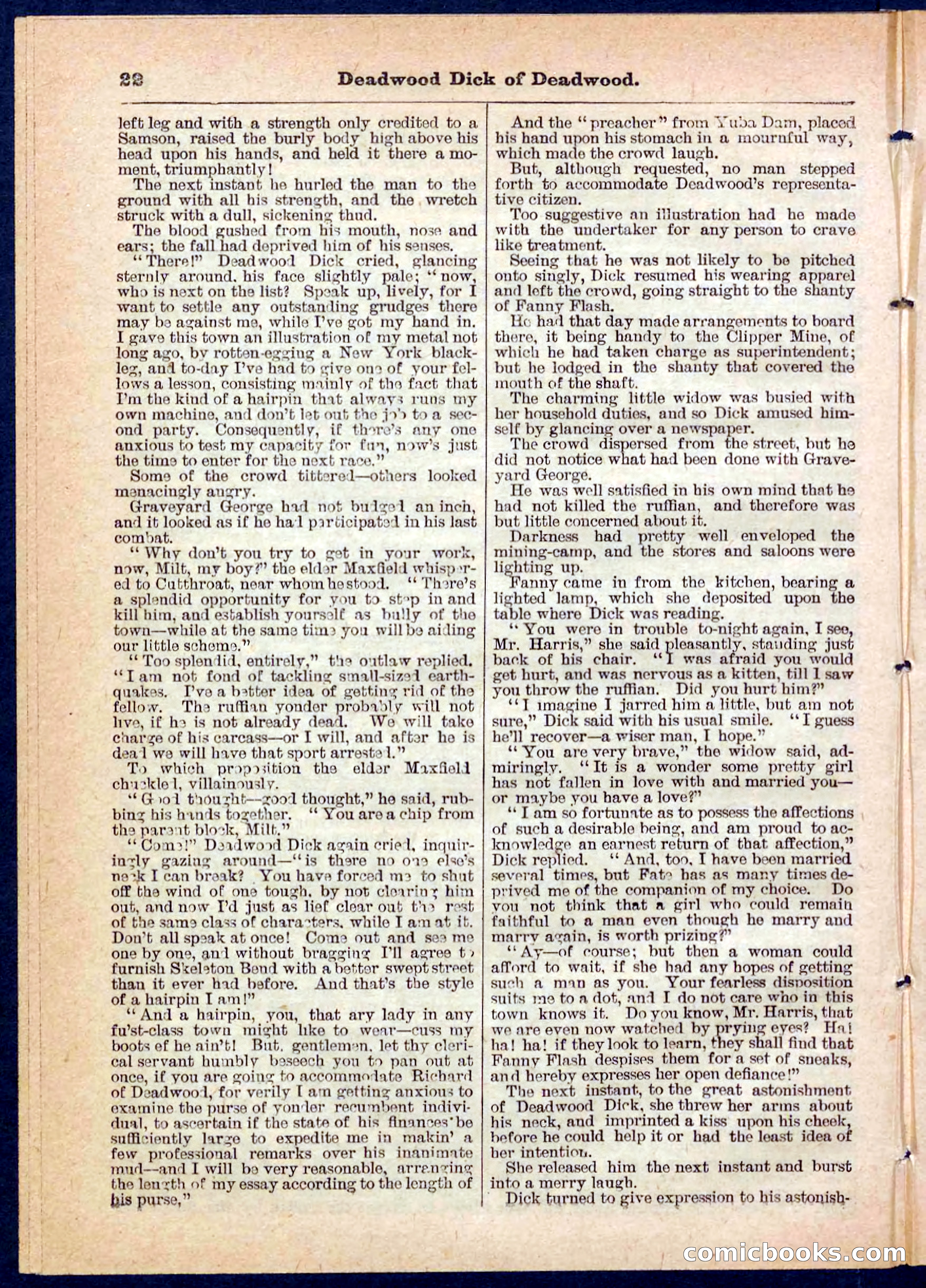 Beadle's Pocket Library No. 135 — page 22 of 32
