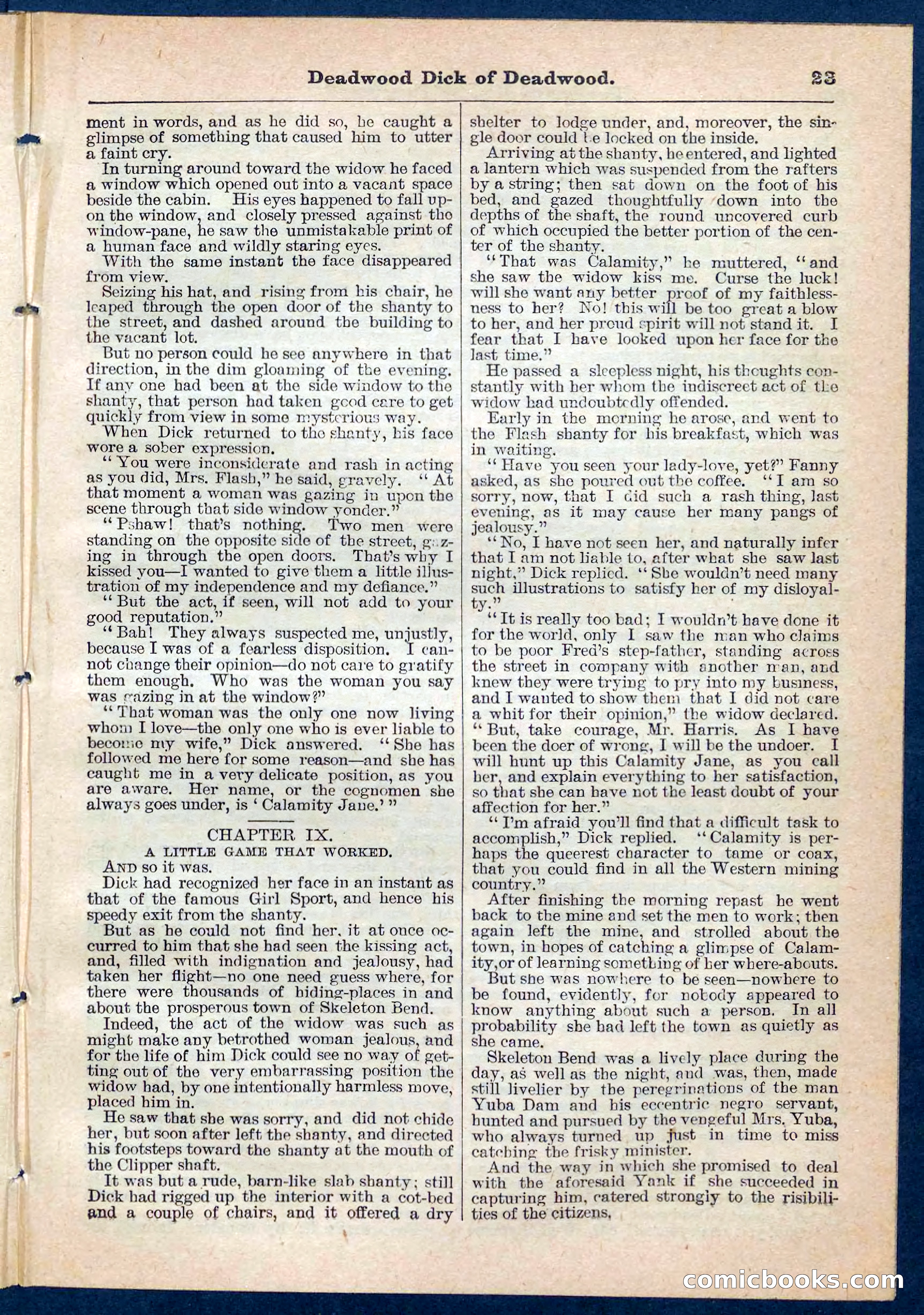 Beadle's Pocket Library No. 135 — page 23 of 32