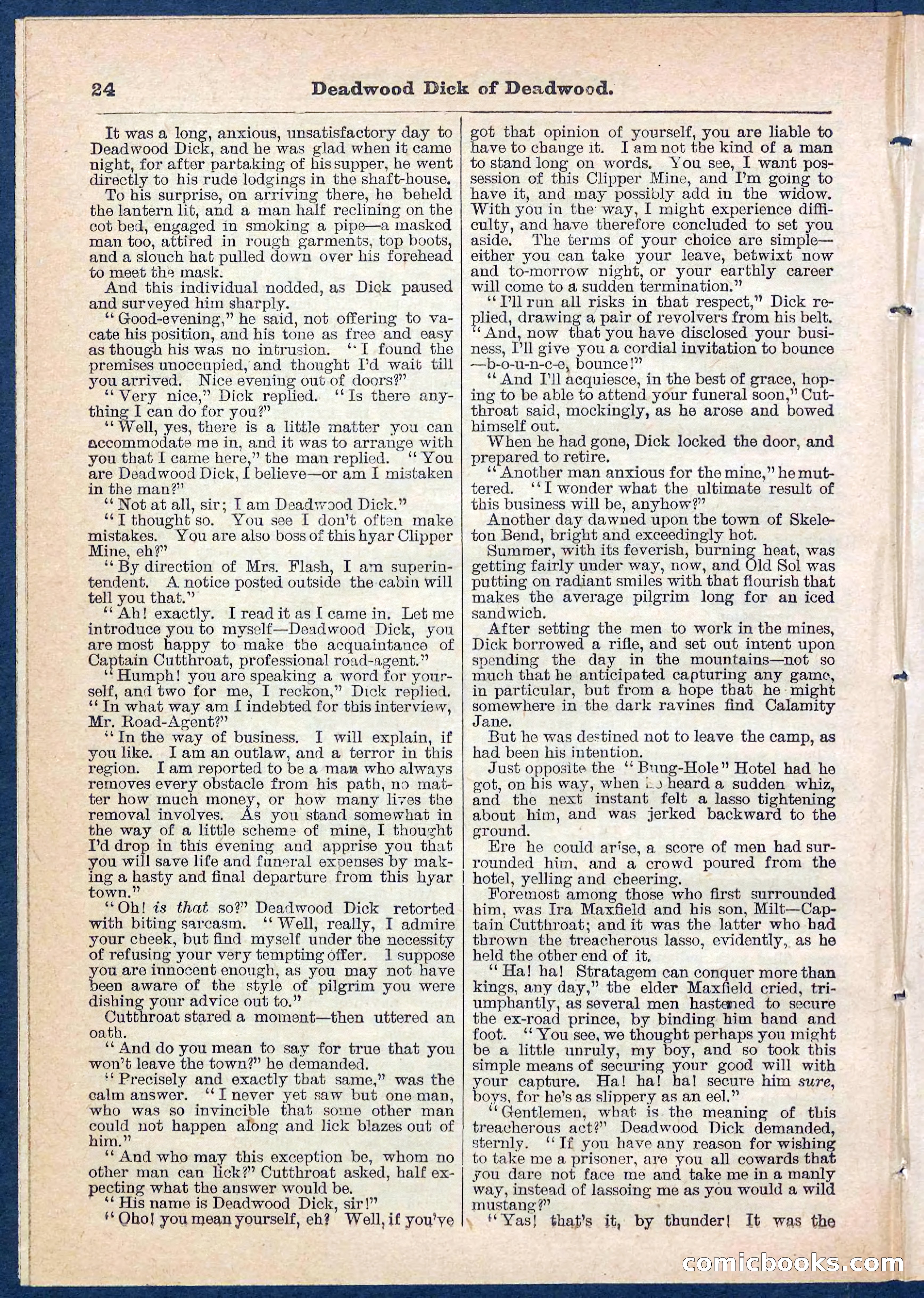 Beadle's Pocket Library No. 135 — page 24 of 32