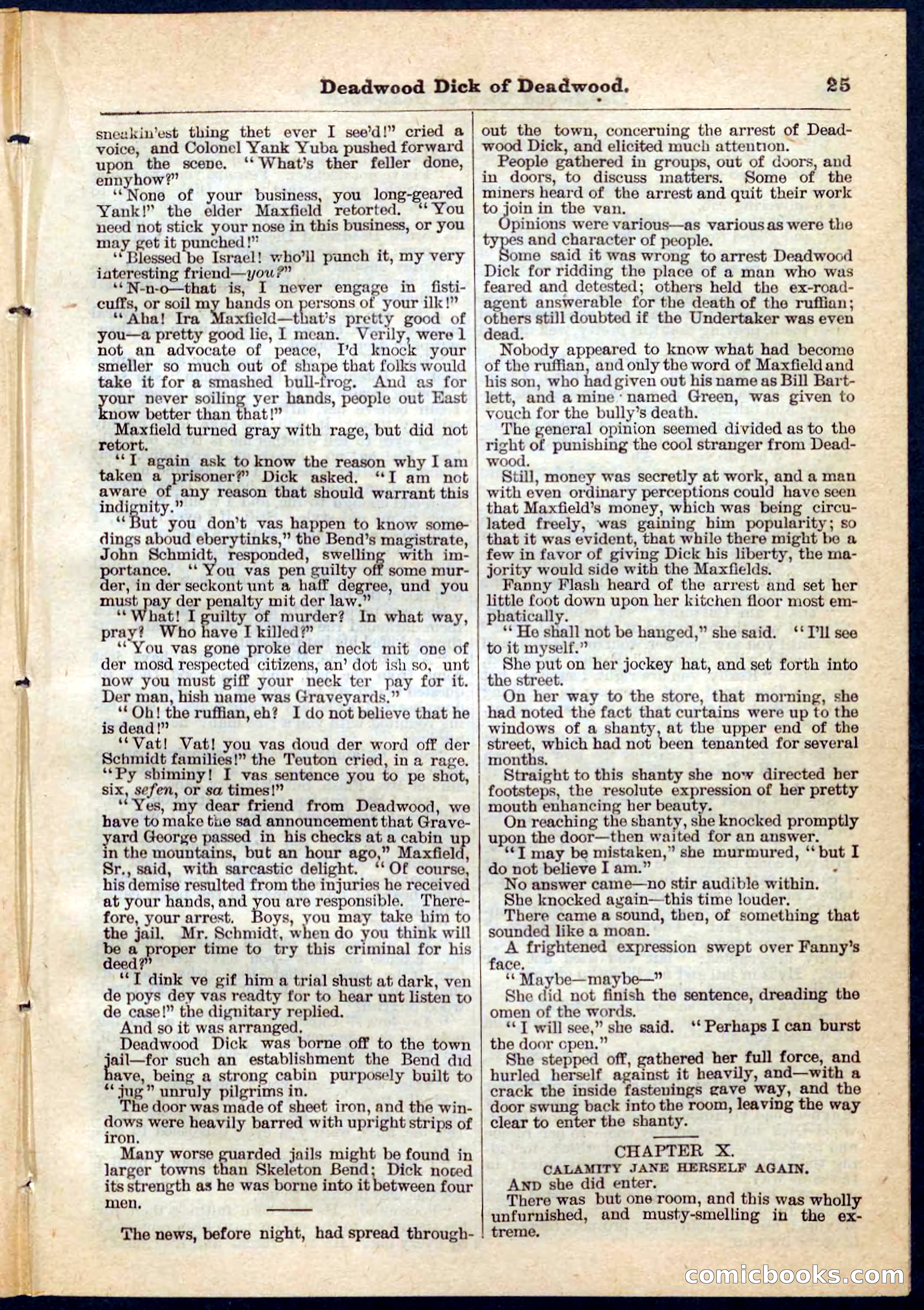 Beadle's Pocket Library No. 135 — page 25 of 32
