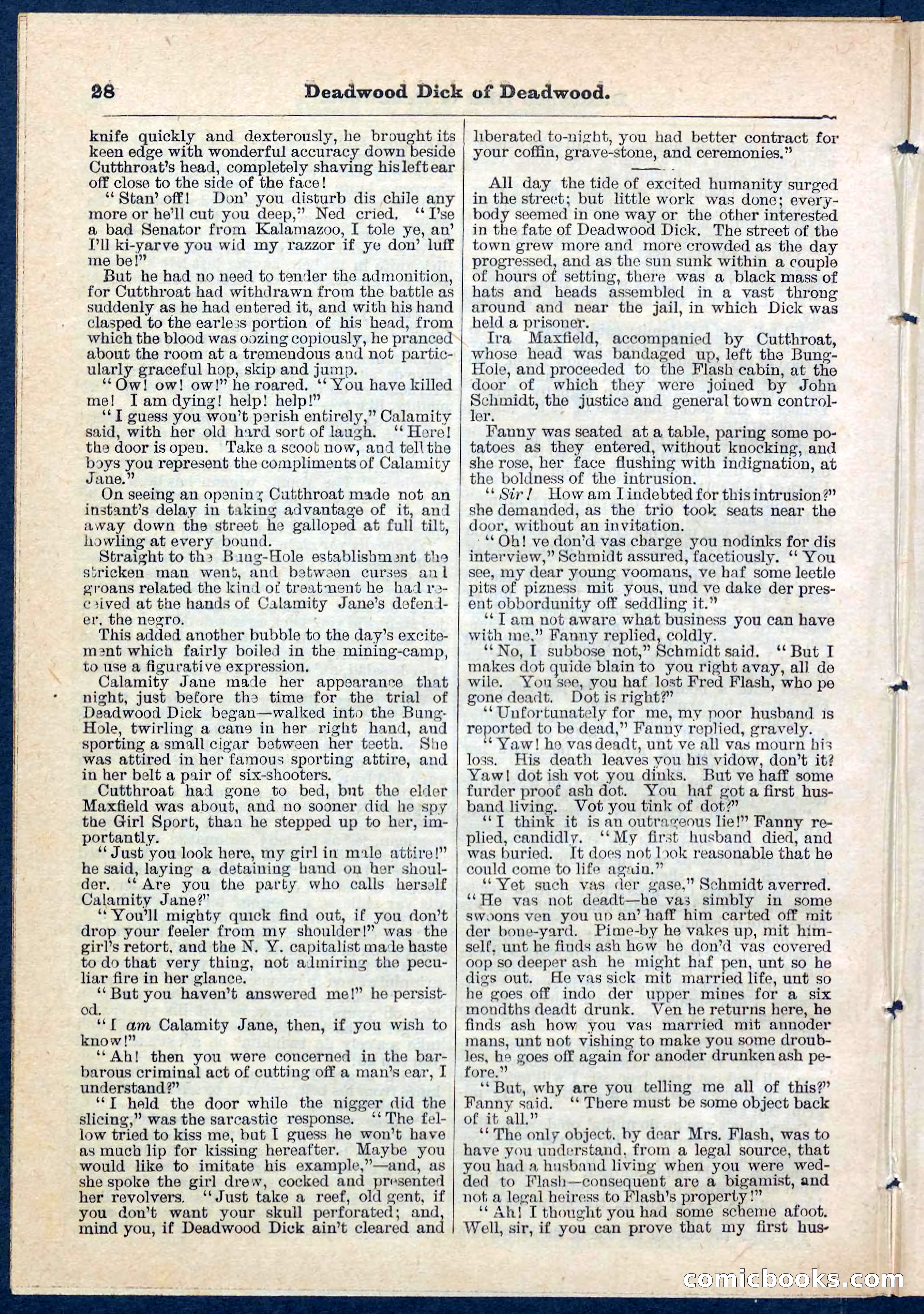 Beadle's Pocket Library No. 135 — page 28 of 32