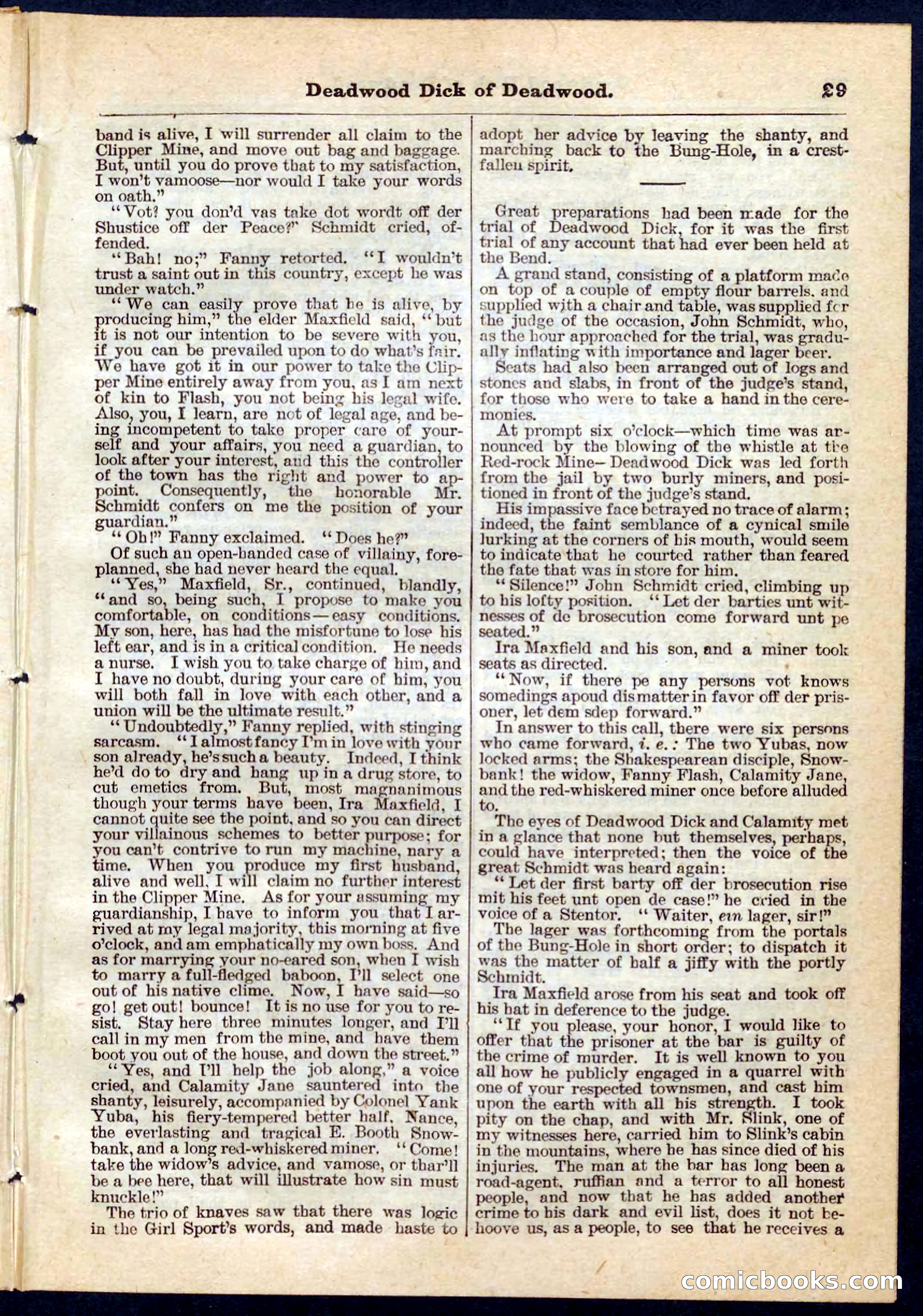Beadle's Pocket Library No. 135 — page 29 of 32