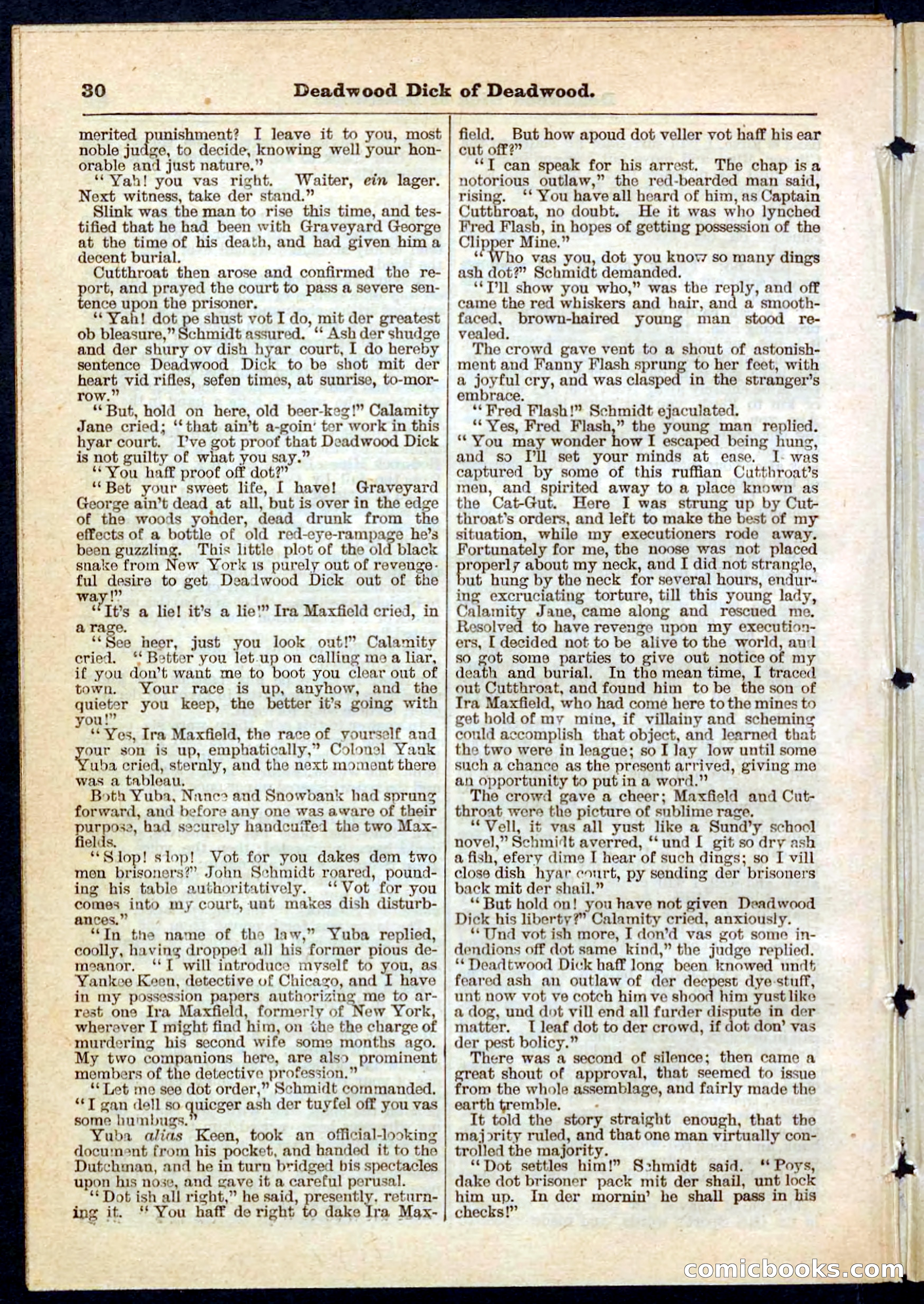 Beadle's Pocket Library No. 135 — page 30 of 32
