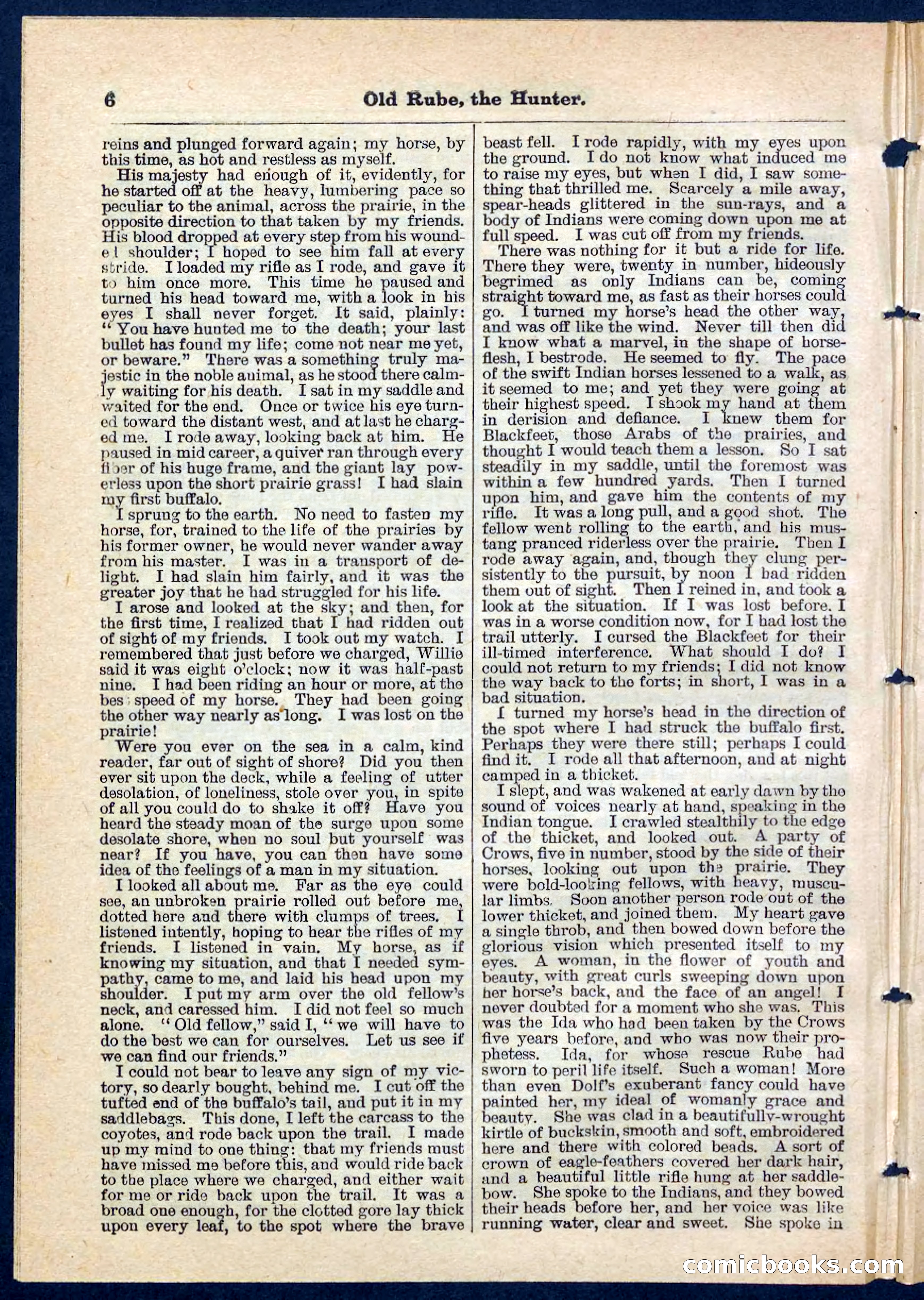 Beadle's Pocket Library No. 136: Old Rube, the Hunter — page 6 of 32