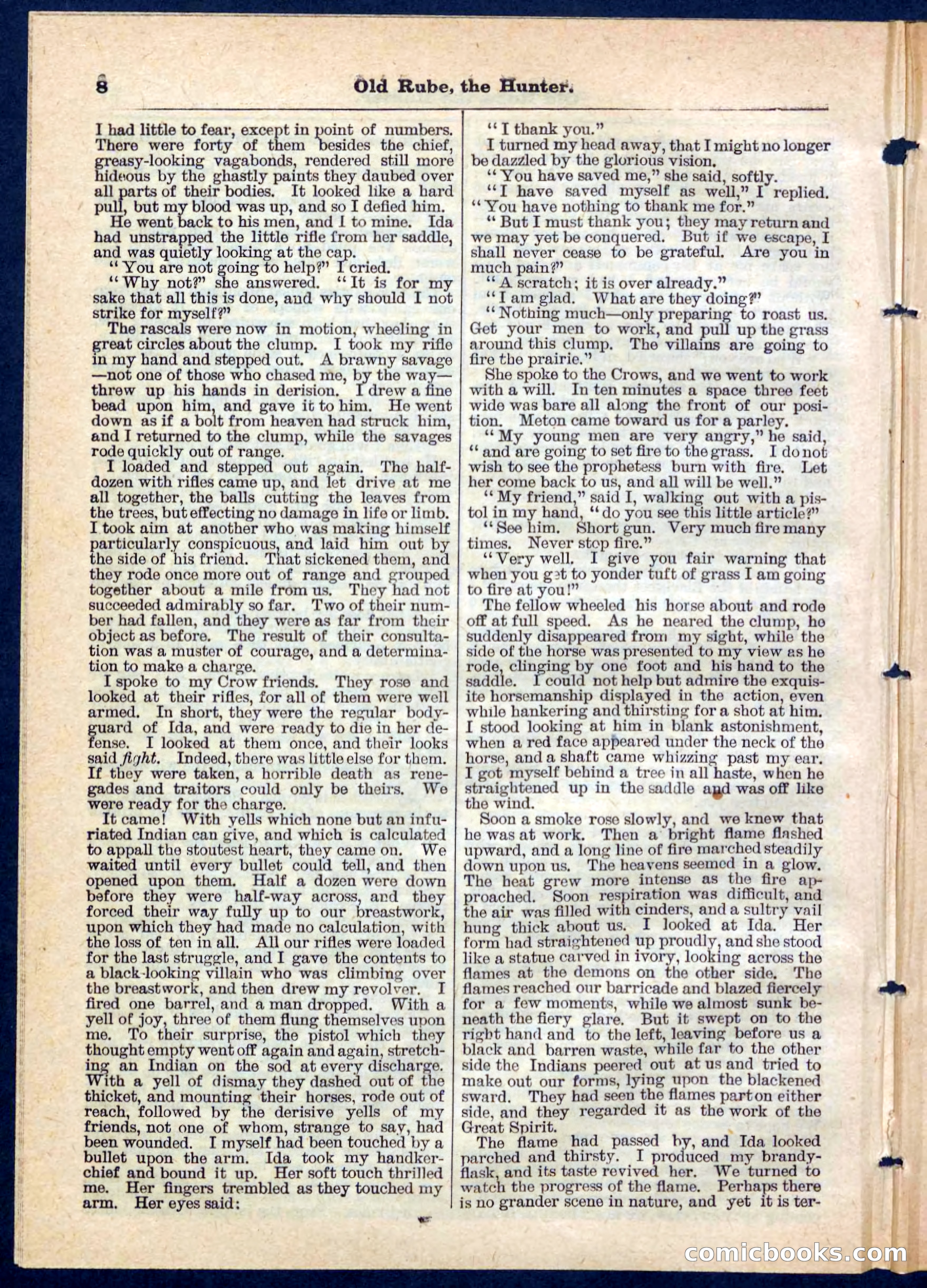 Beadle's Pocket Library No. 136: Old Rube, the Hunter — page 8 of 32