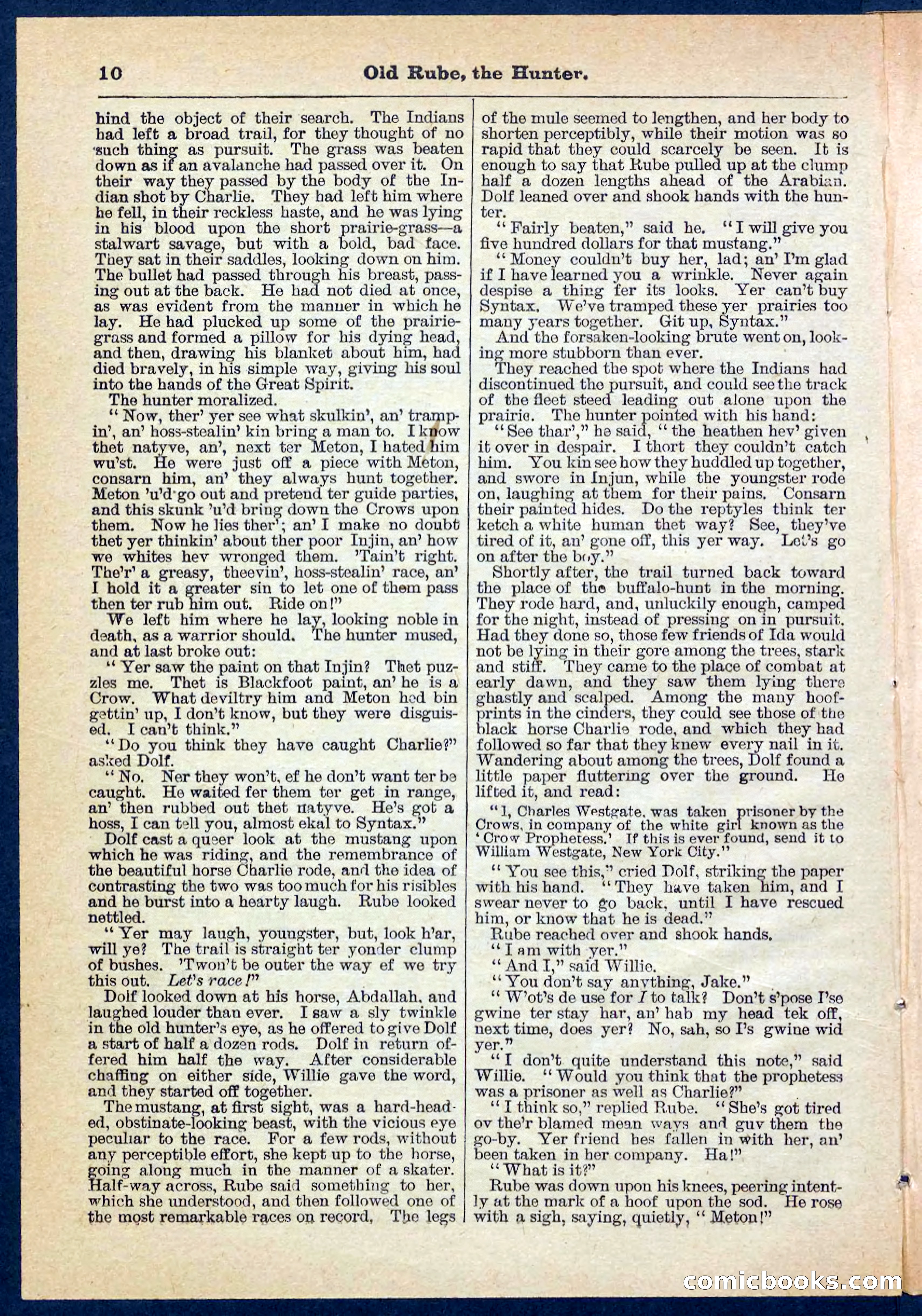 Beadle's Pocket Library No. 136: Old Rube, the Hunter — page 10 of 32