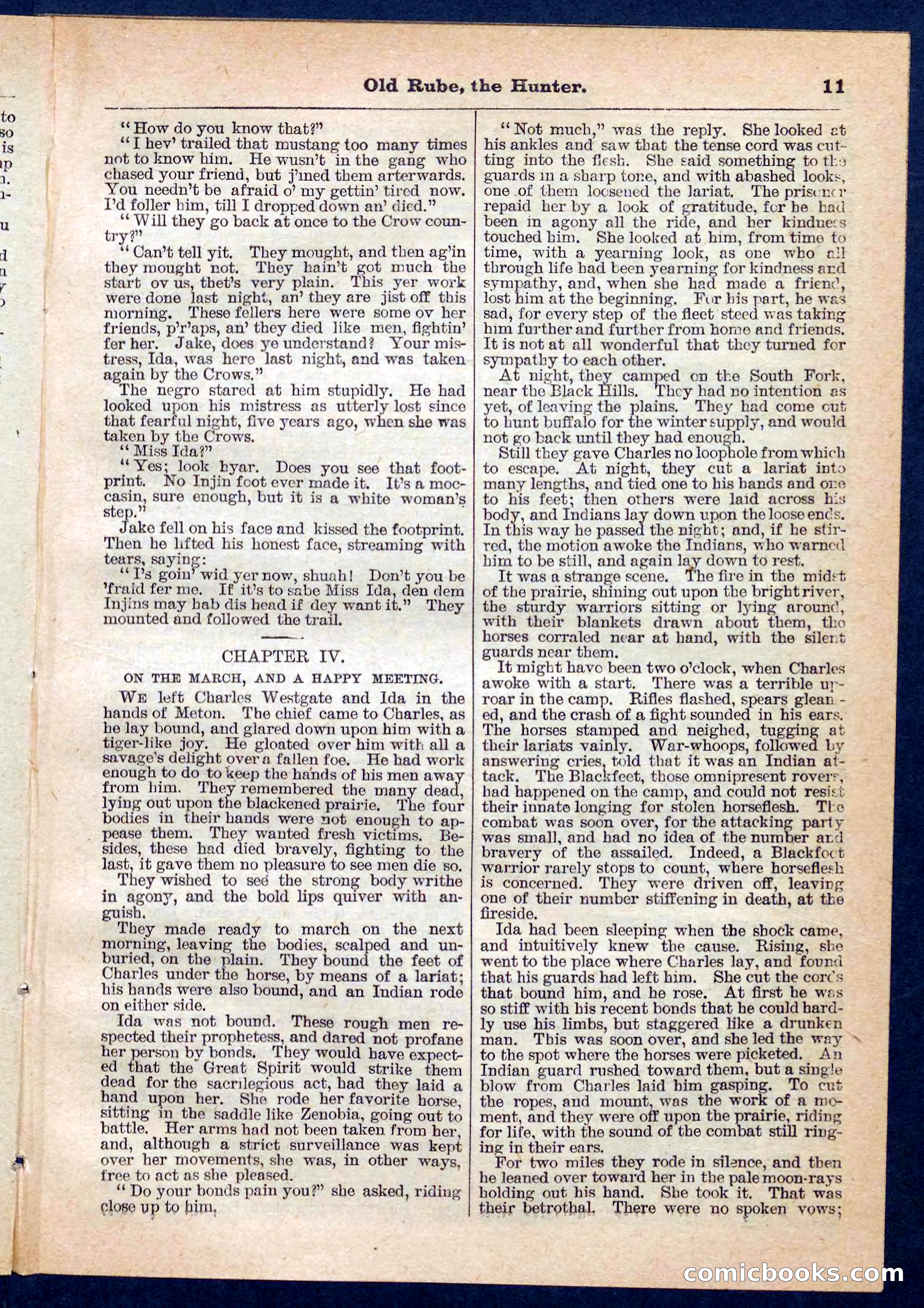Beadle's Pocket Library No. 136: Old Rube, the Hunter — page 11 of 32