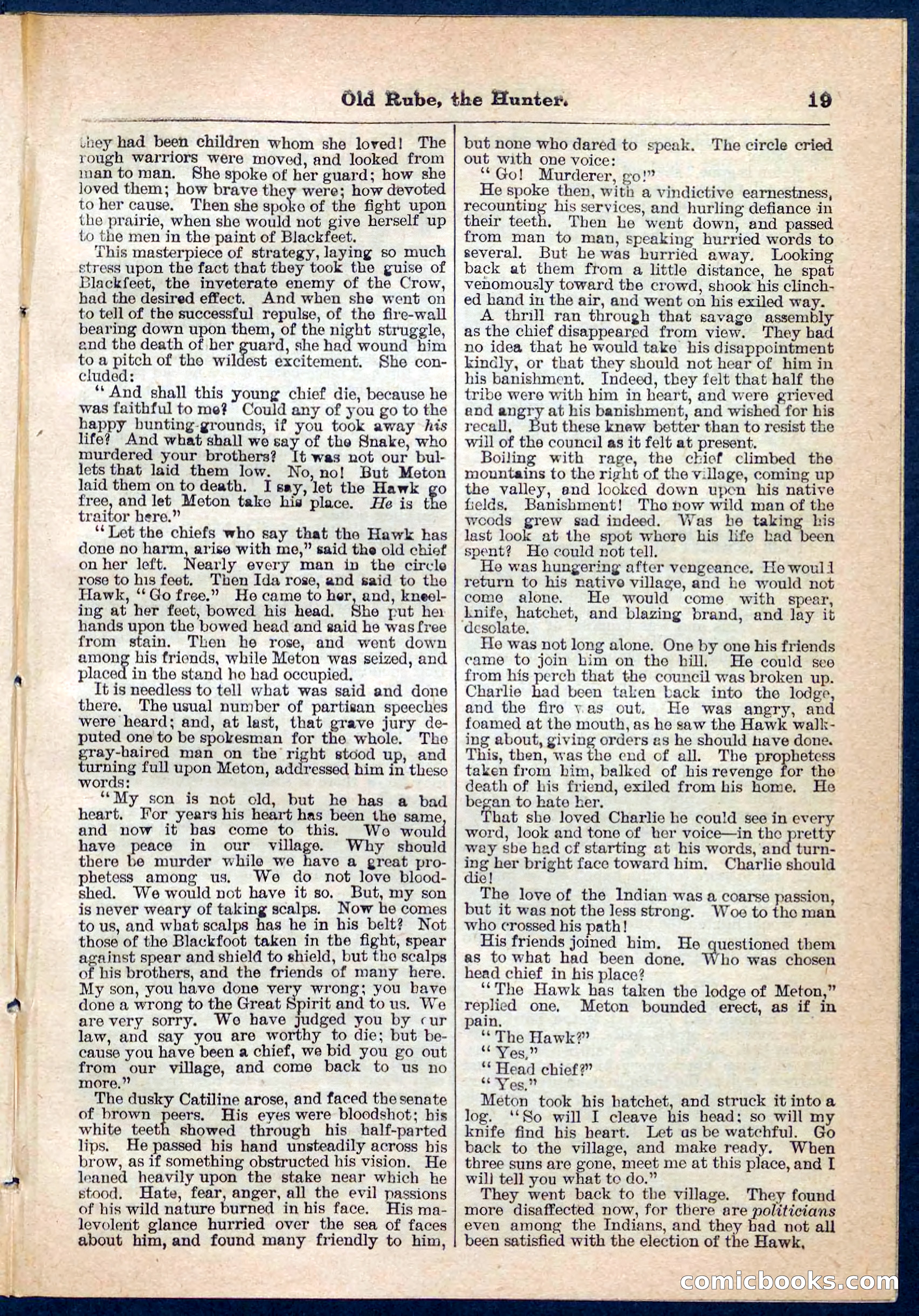 Beadle's Pocket Library No. 136: Old Rube, the Hunter — page 19 of 32