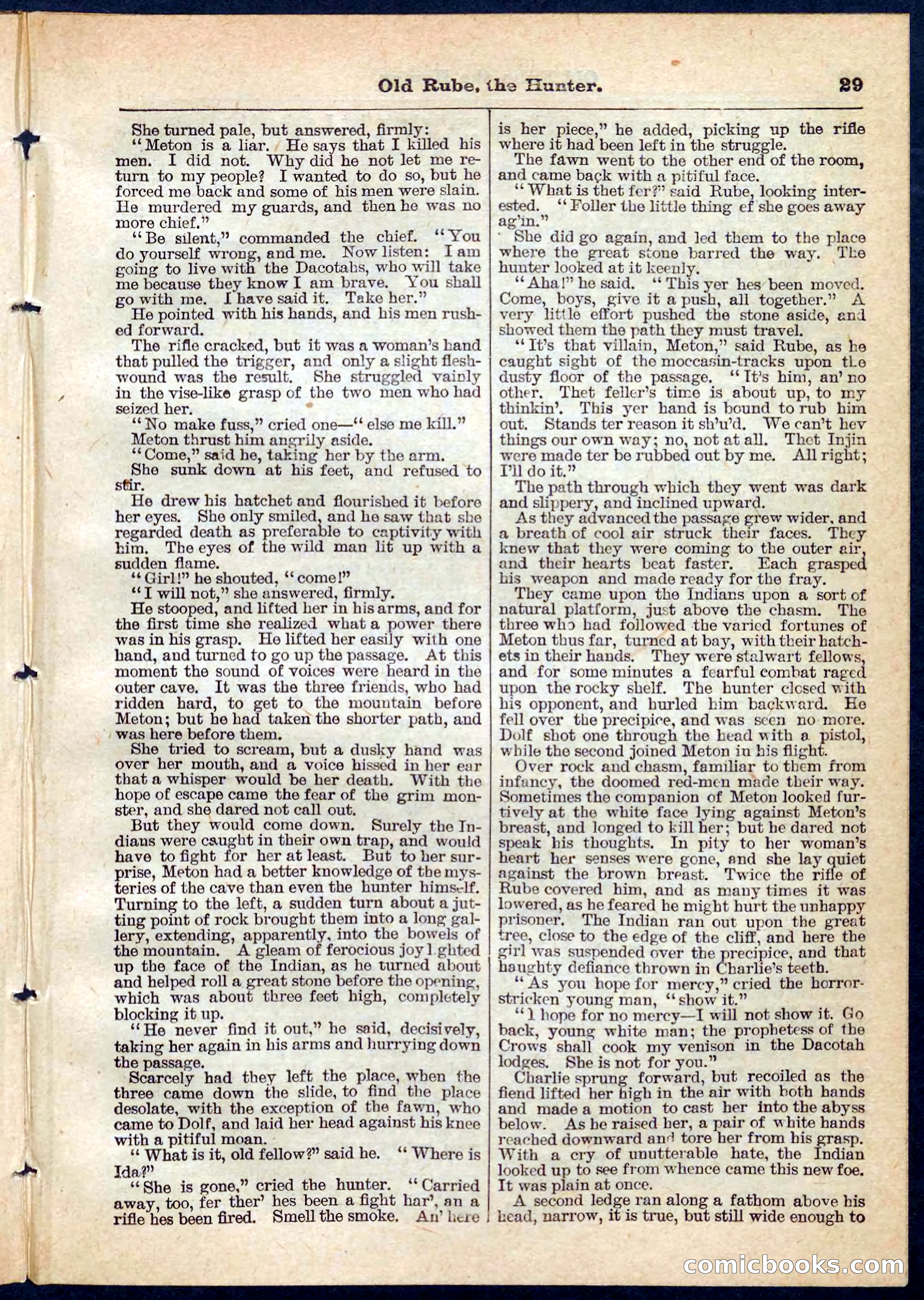 Beadle's Pocket Library No. 136: Old Rube, the Hunter — page 29 of 32