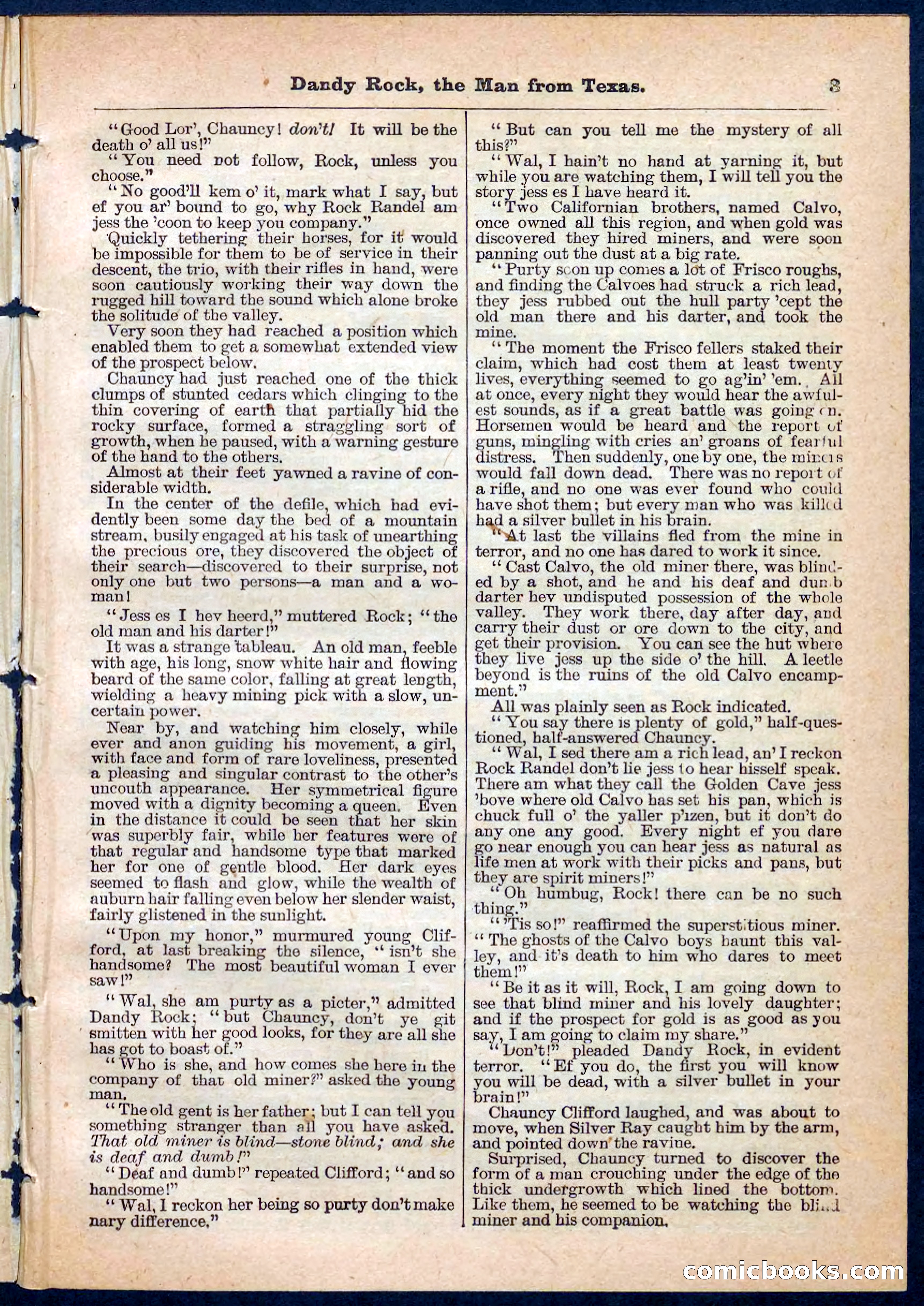 Beadle's Pocket Library No. 137 — page 3 of 32