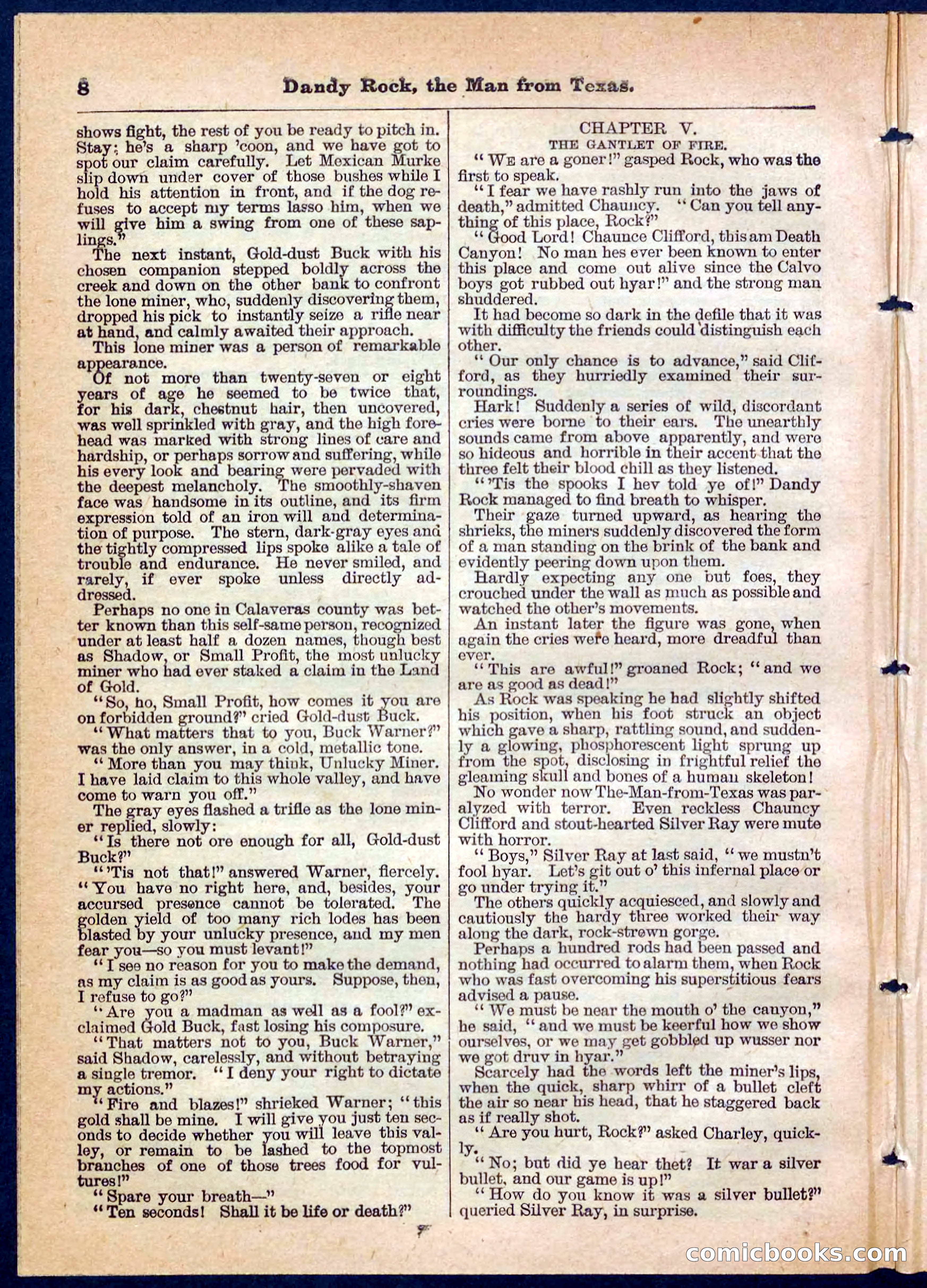 Beadle's Pocket Library No. 137 — page 8 of 32