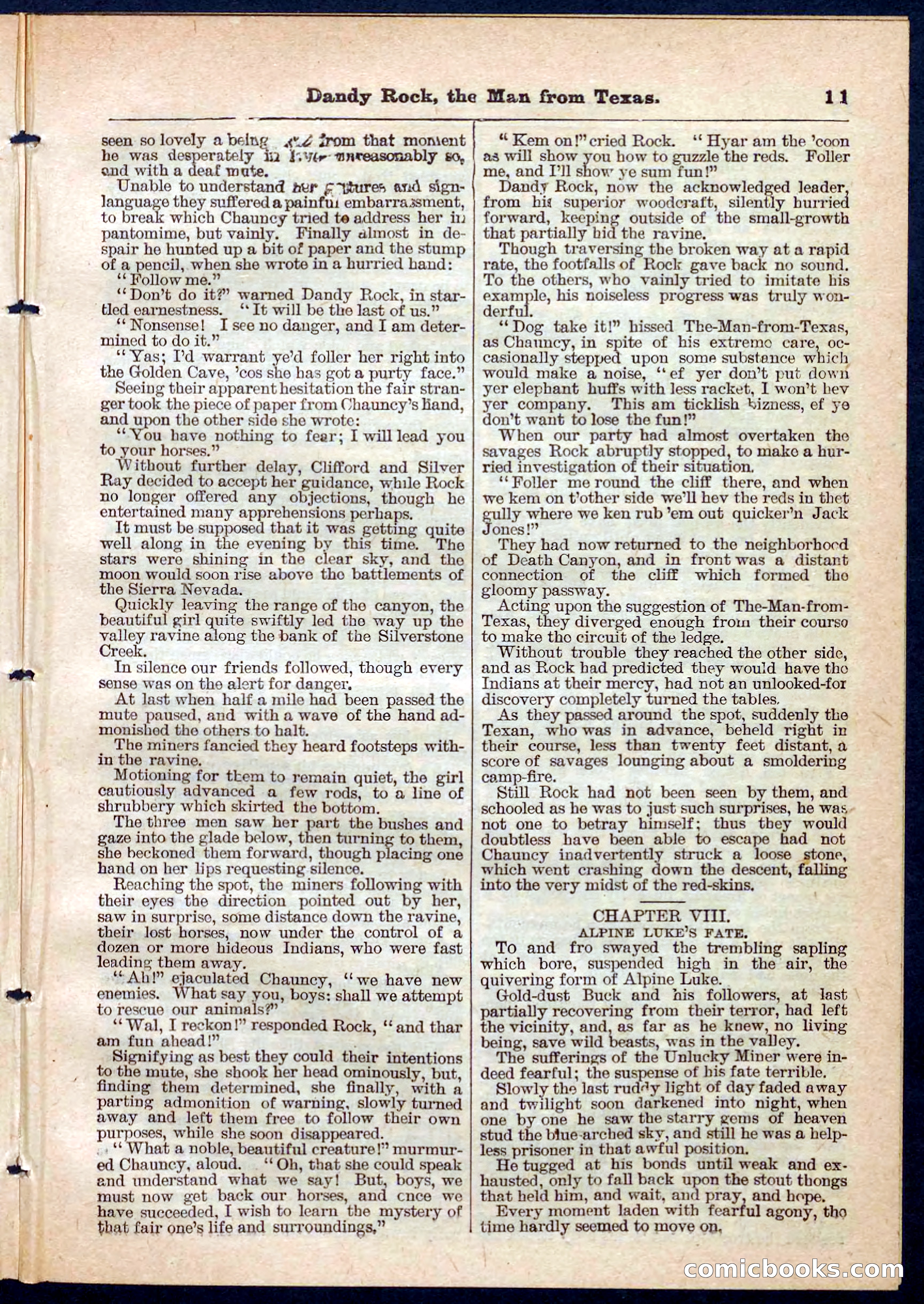 Beadle's Pocket Library No. 137 — page 11 of 32