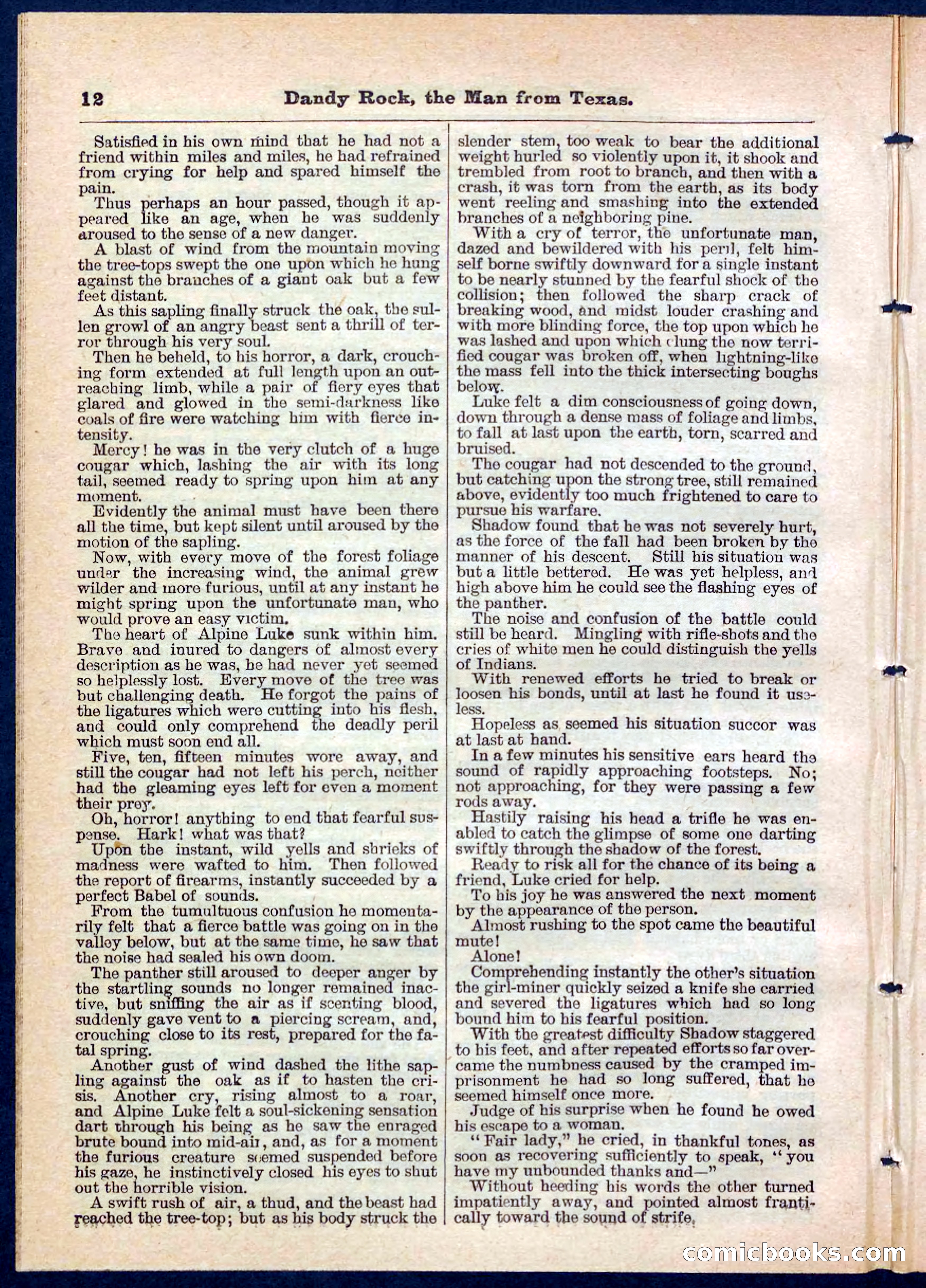 Beadle's Pocket Library No. 137 — page 12 of 32